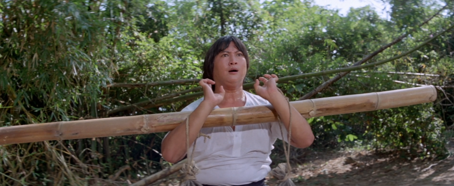 Man in a forest holding a bamboo stick in his arms