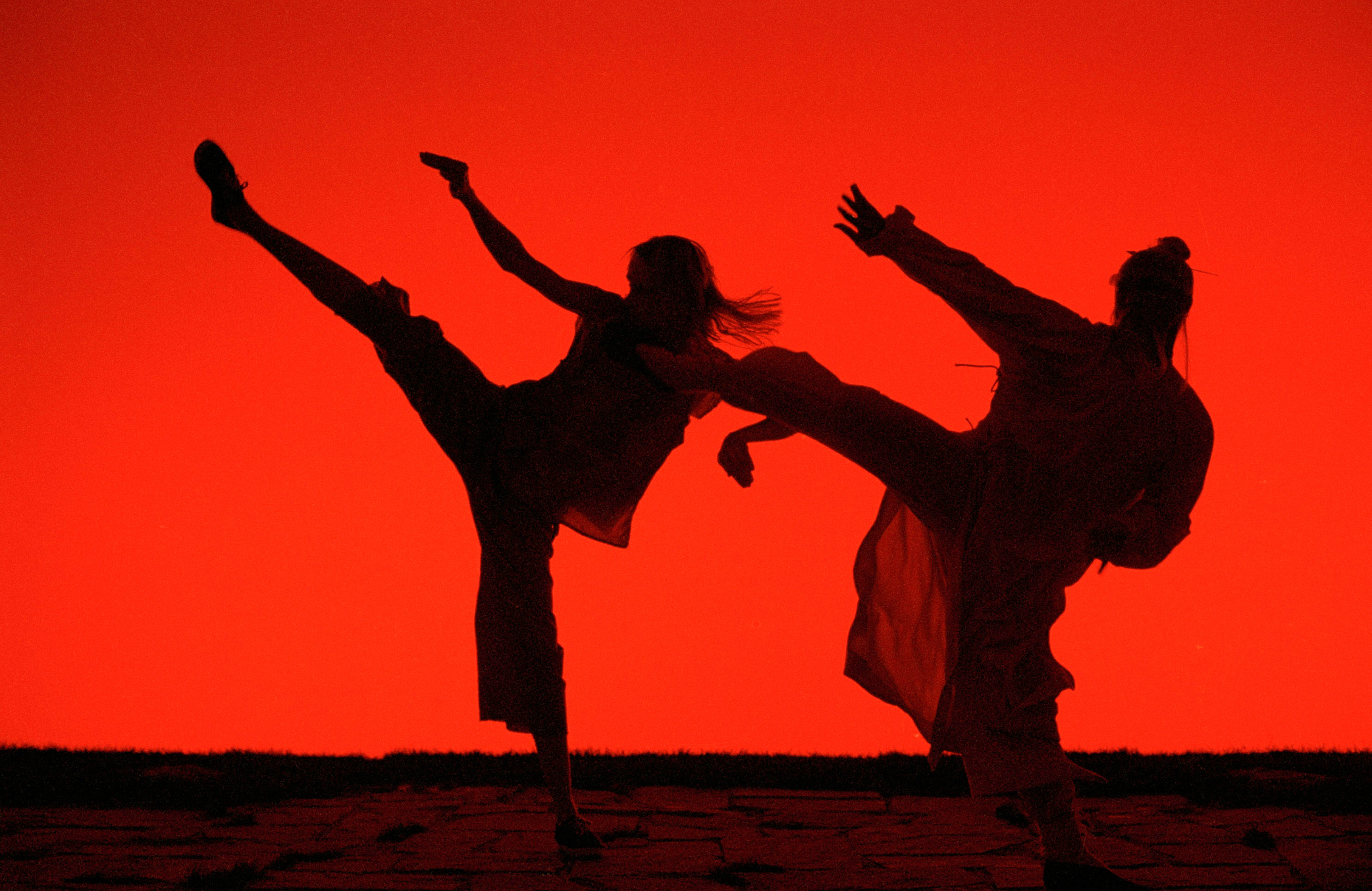 2 shadows perform martial arts movements against a red background