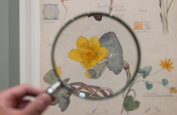 Katta kokraklari bilan yalangoch Qattiq orgiya porno filmlarini onlayn tomosha qiling