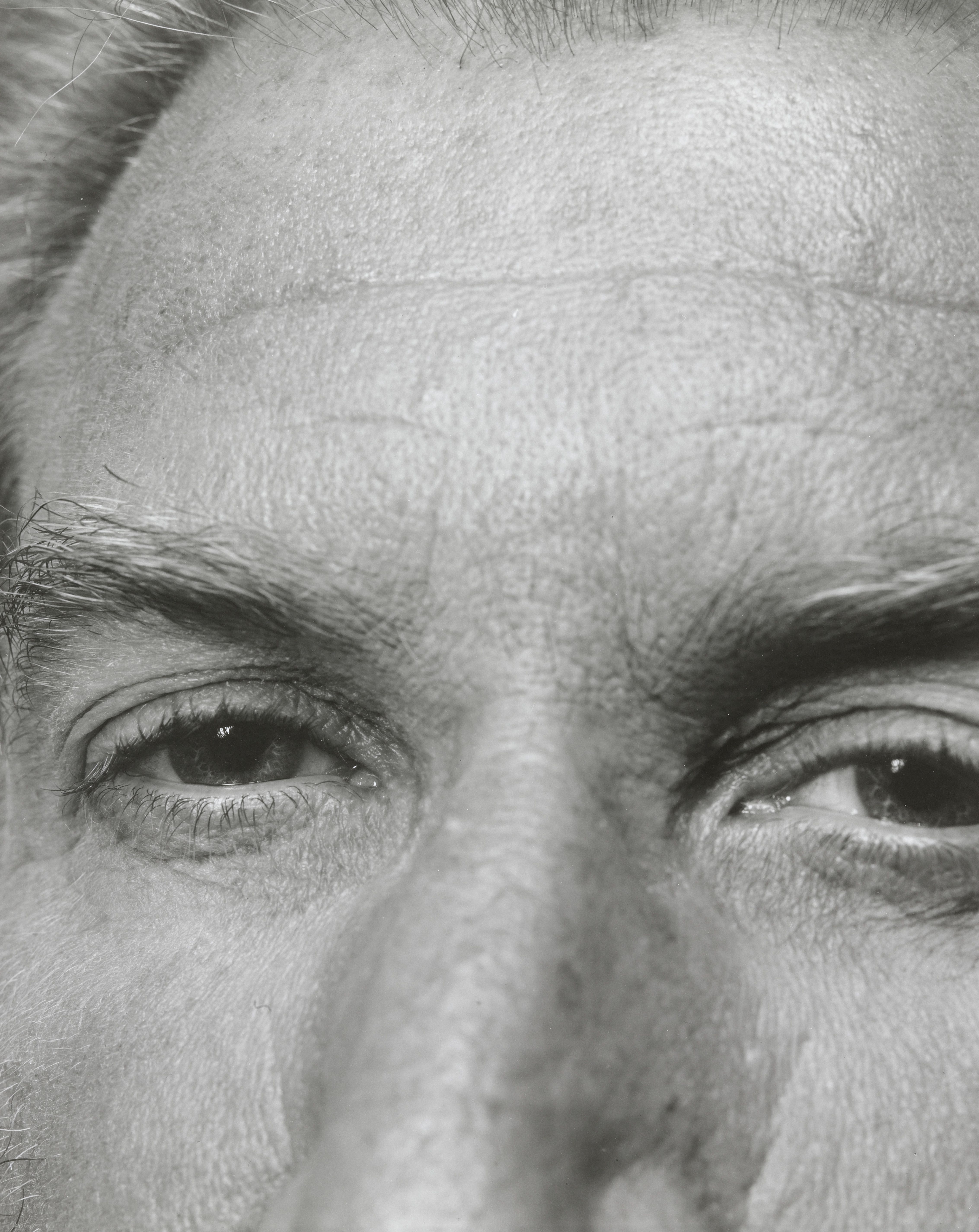 写真家Nicholas Nixon サイン入りエキシビションポスター Nicholas Nixon | Fraenkel Gallery