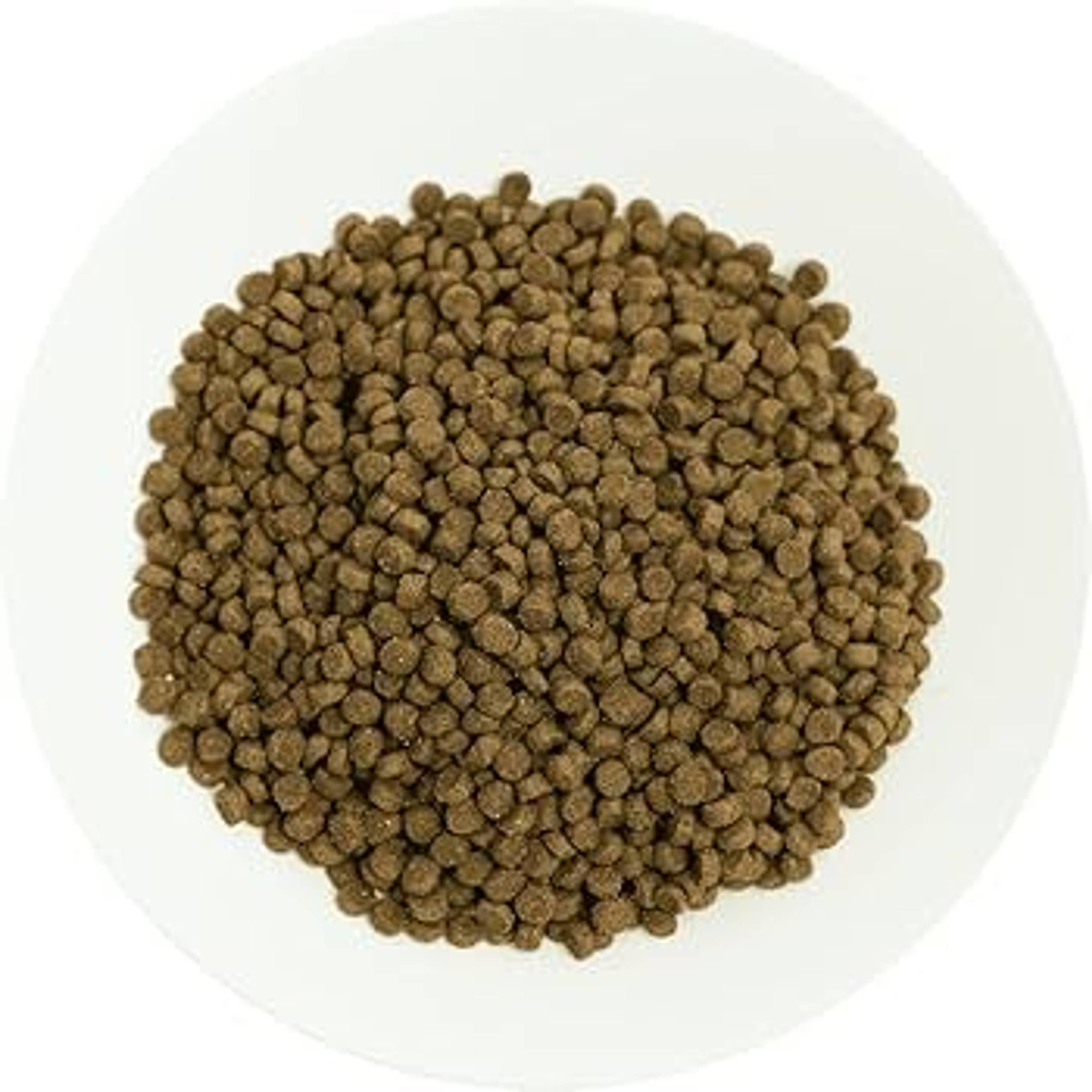 Prochoice Pro38 Kitten Cat Food - 2kg Pack thumbnail 2