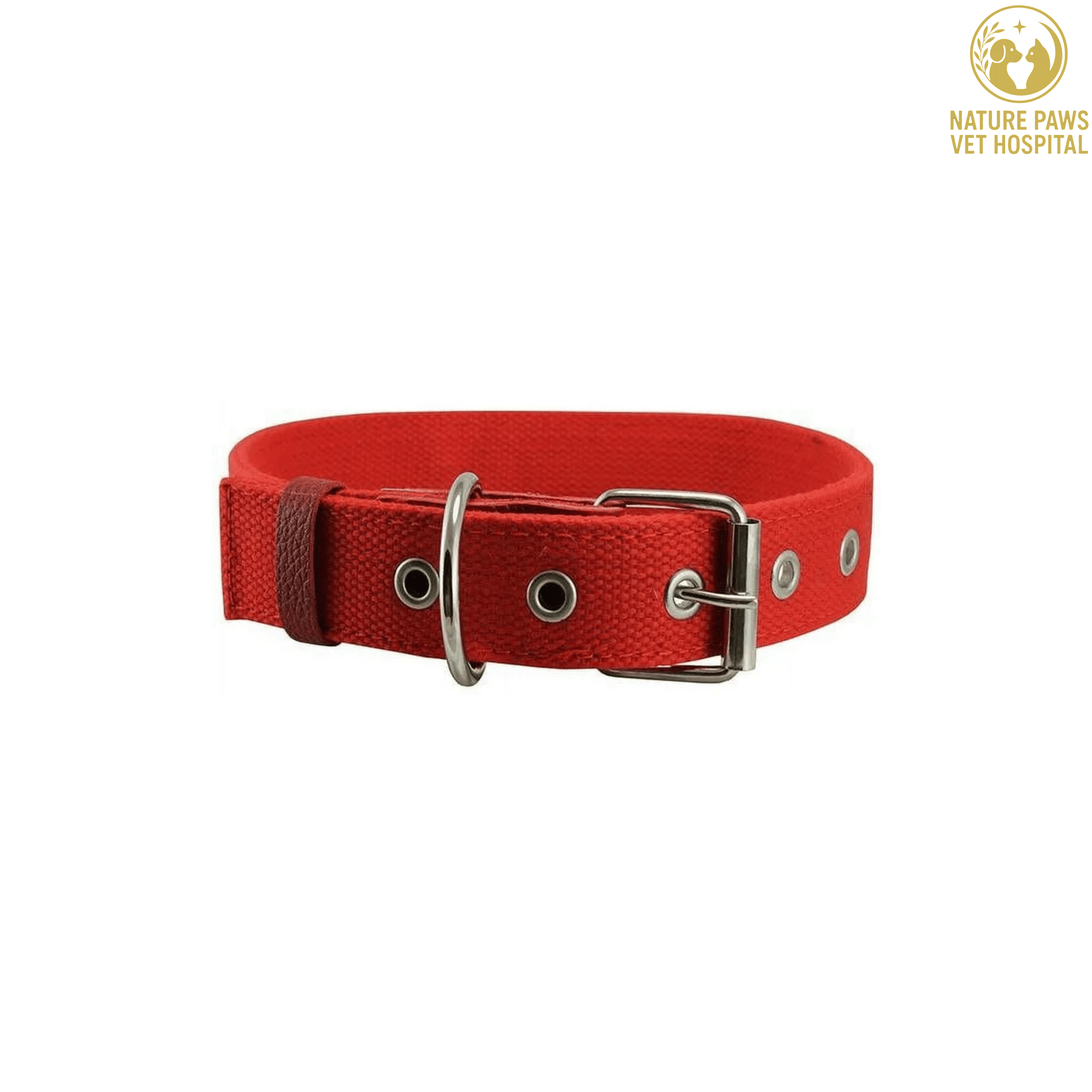 Soft Nylon Padded Adjustable Collar For Dogs thumbnail 4