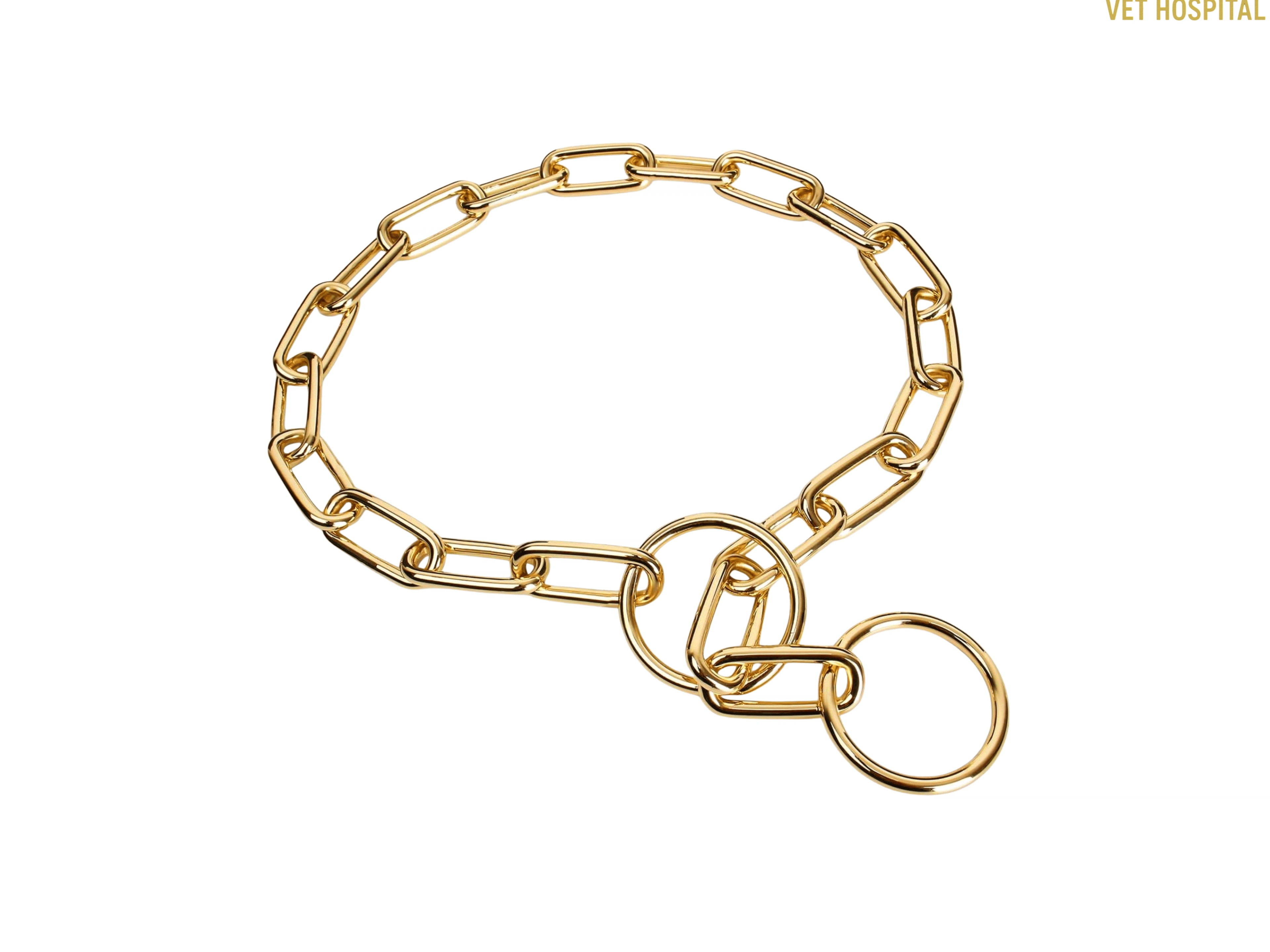 Dog Golden Choke Chain