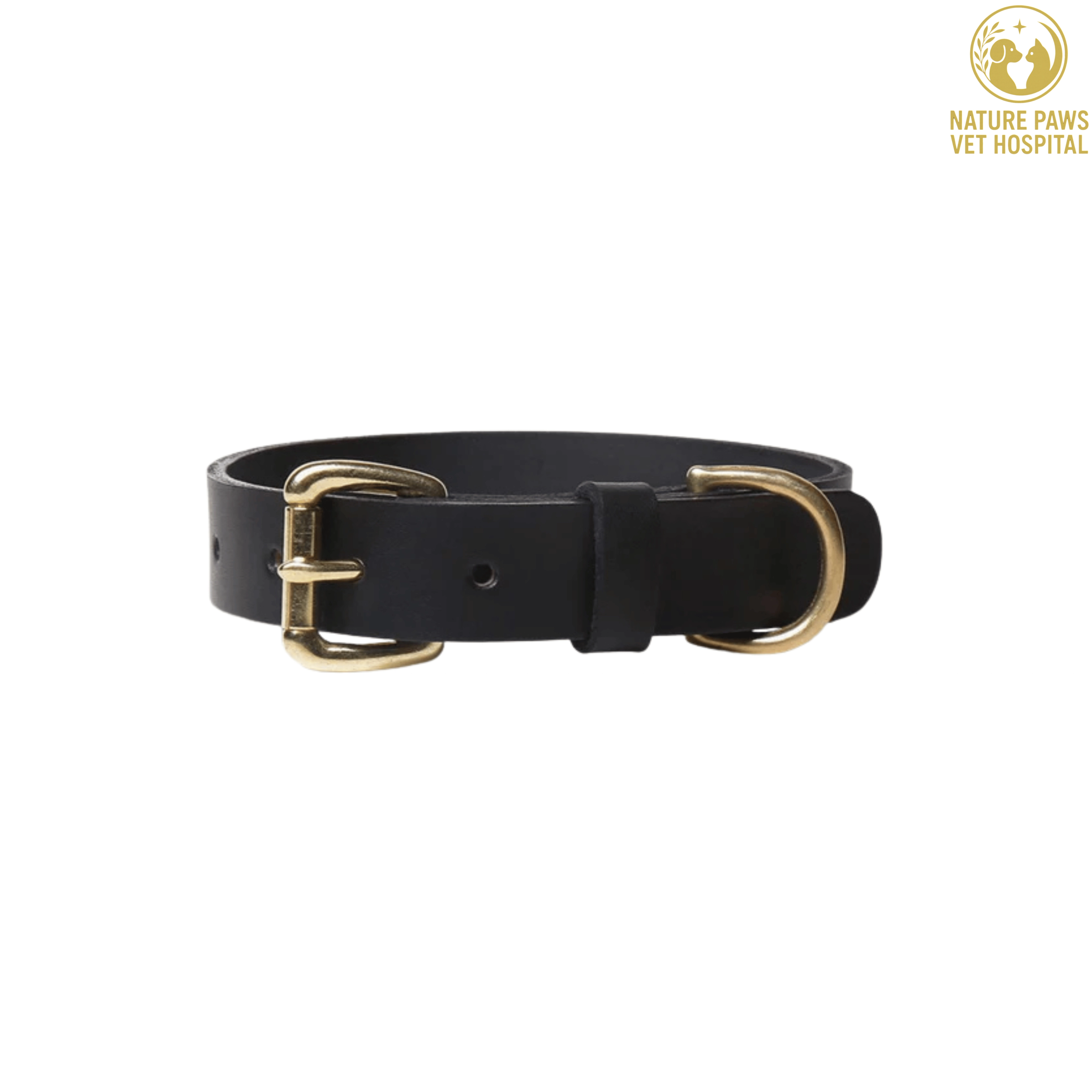 Dog Leather Collars  - Image 1