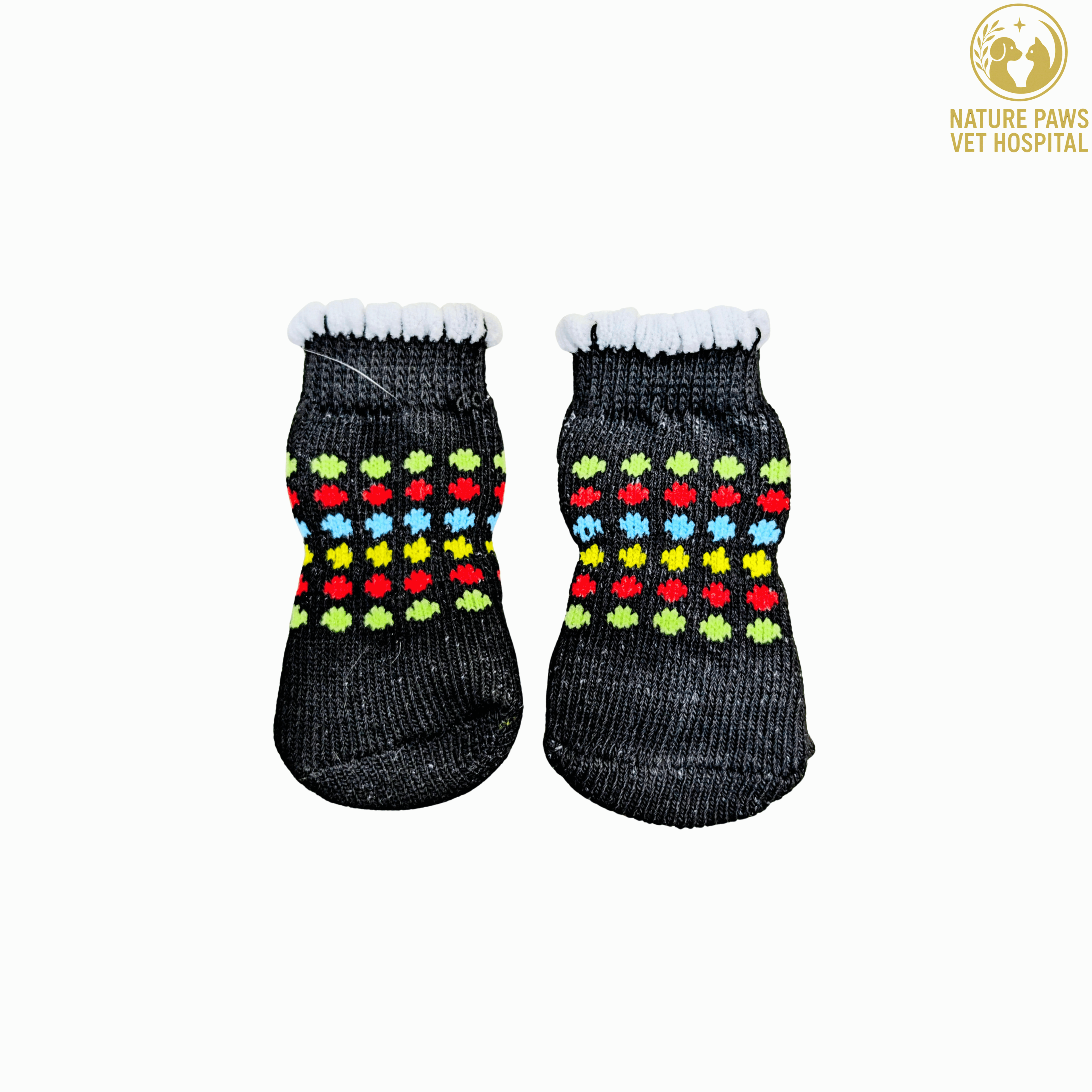 Dog Socks (Assorted Colours & Designs) thumbnail 3