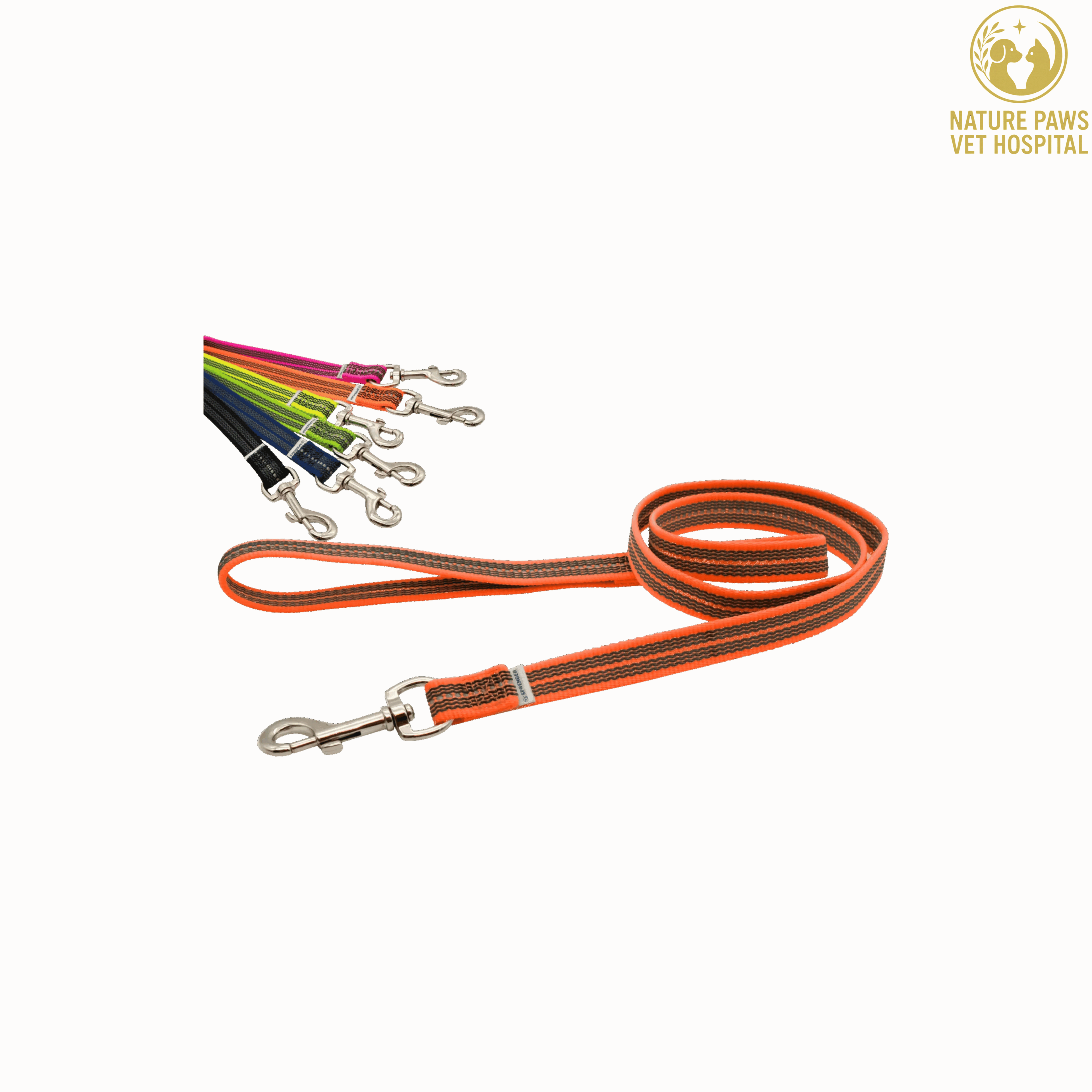 Colourful Leashes For Dogs thumbnail 2
