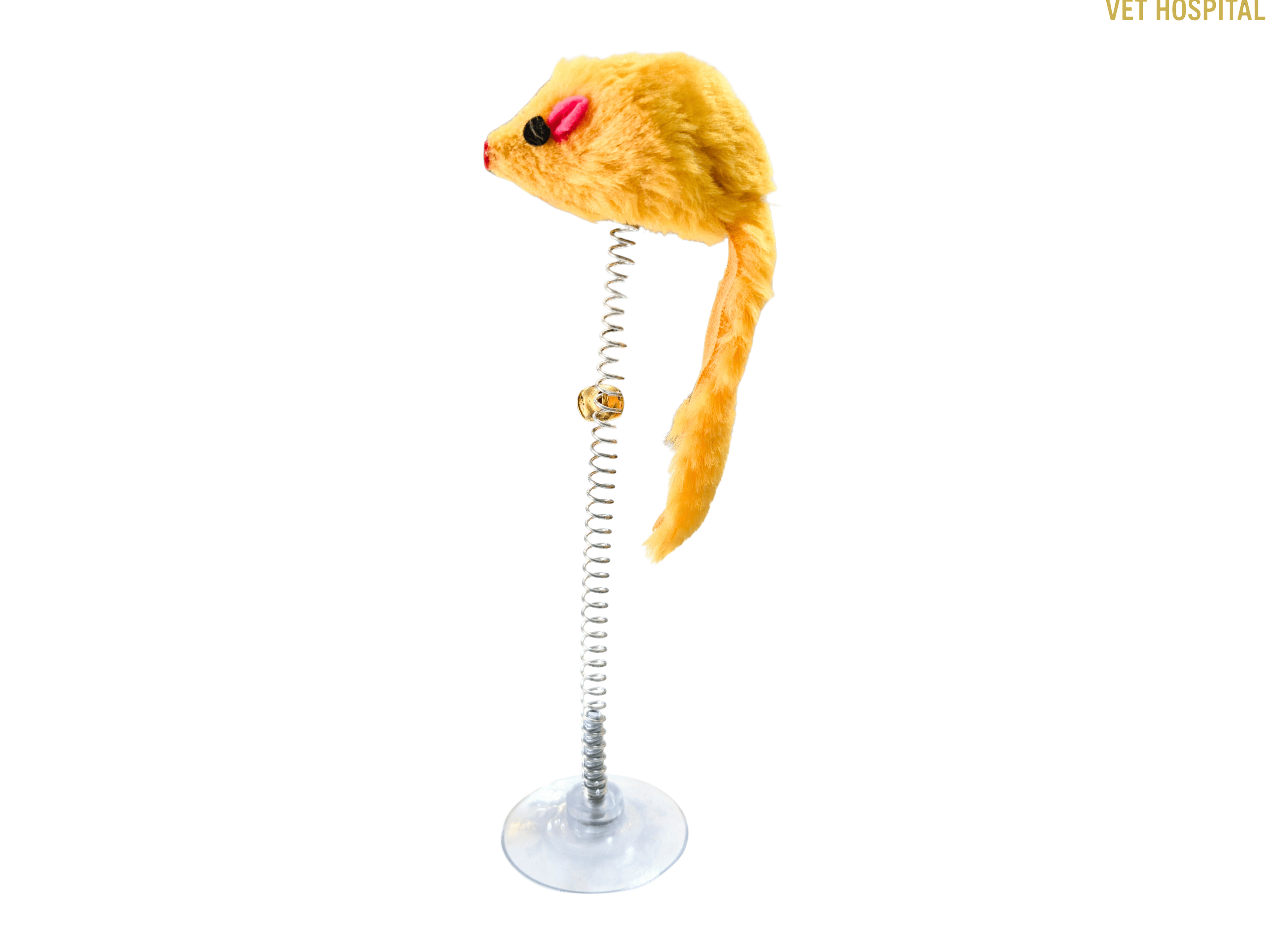 Cat Spring Mouse Toy