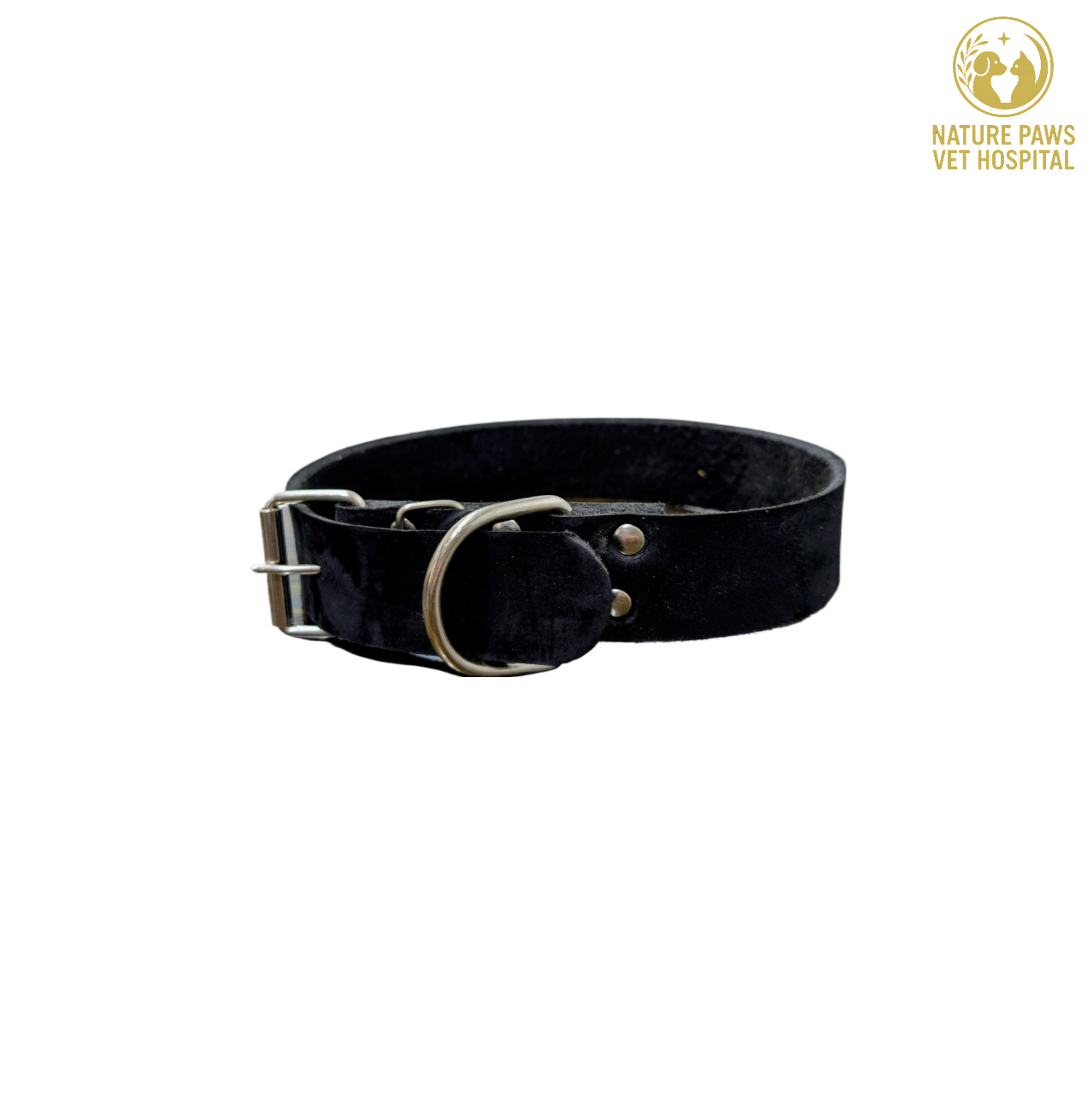 Dog Leather Collars  thumbnail 2