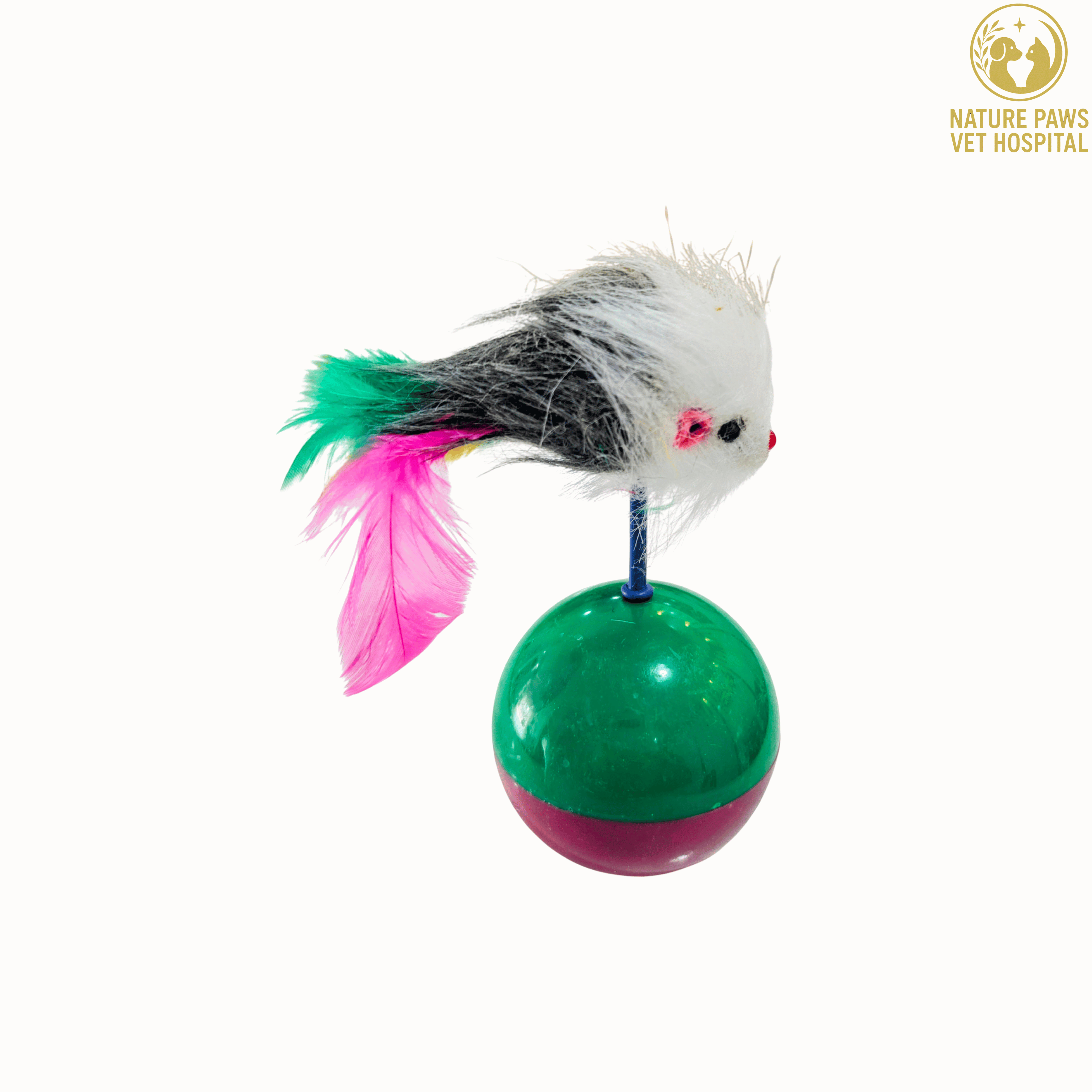 Cat Playing Ball With Mouse