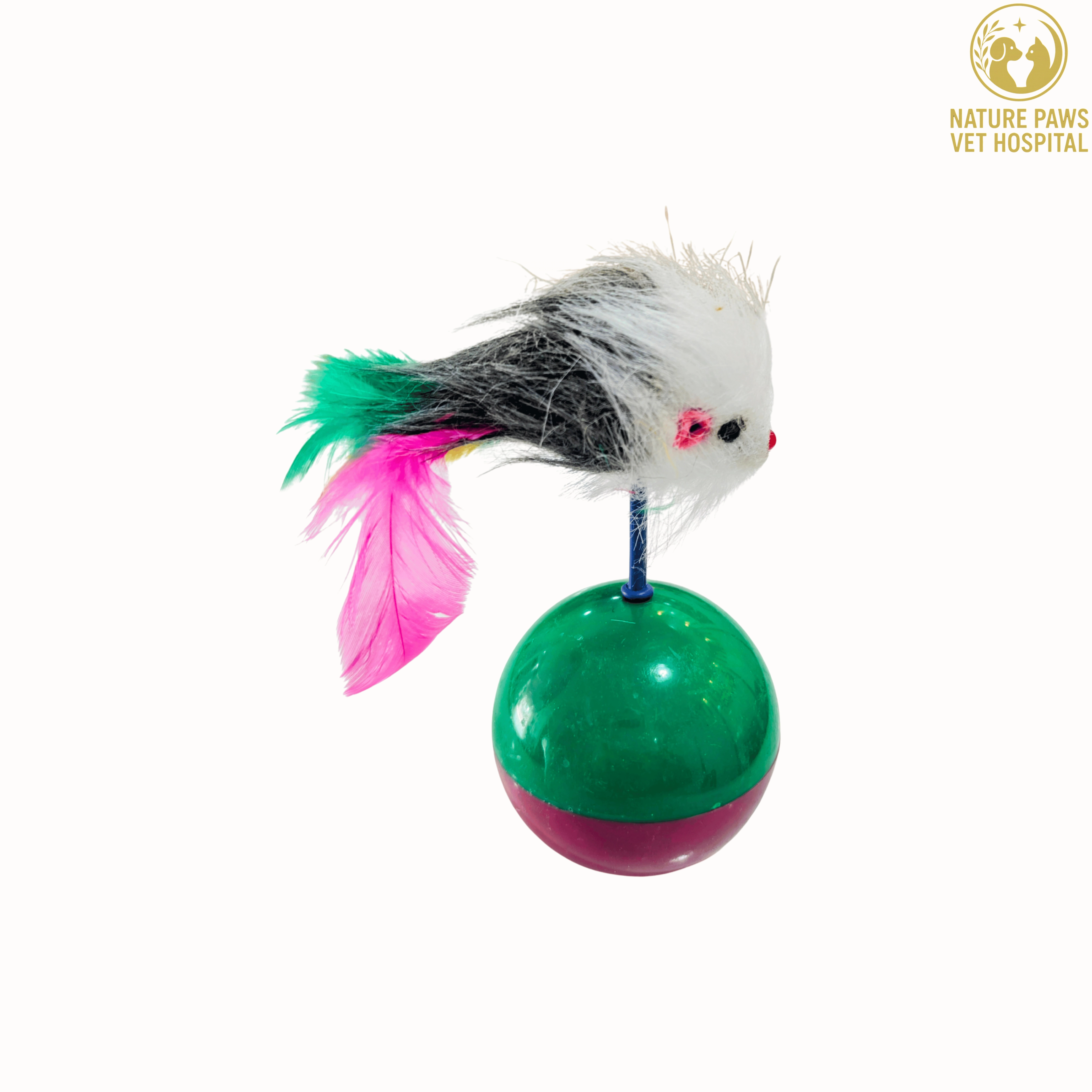 Cat Playing Ball With Mouse - Image 1
