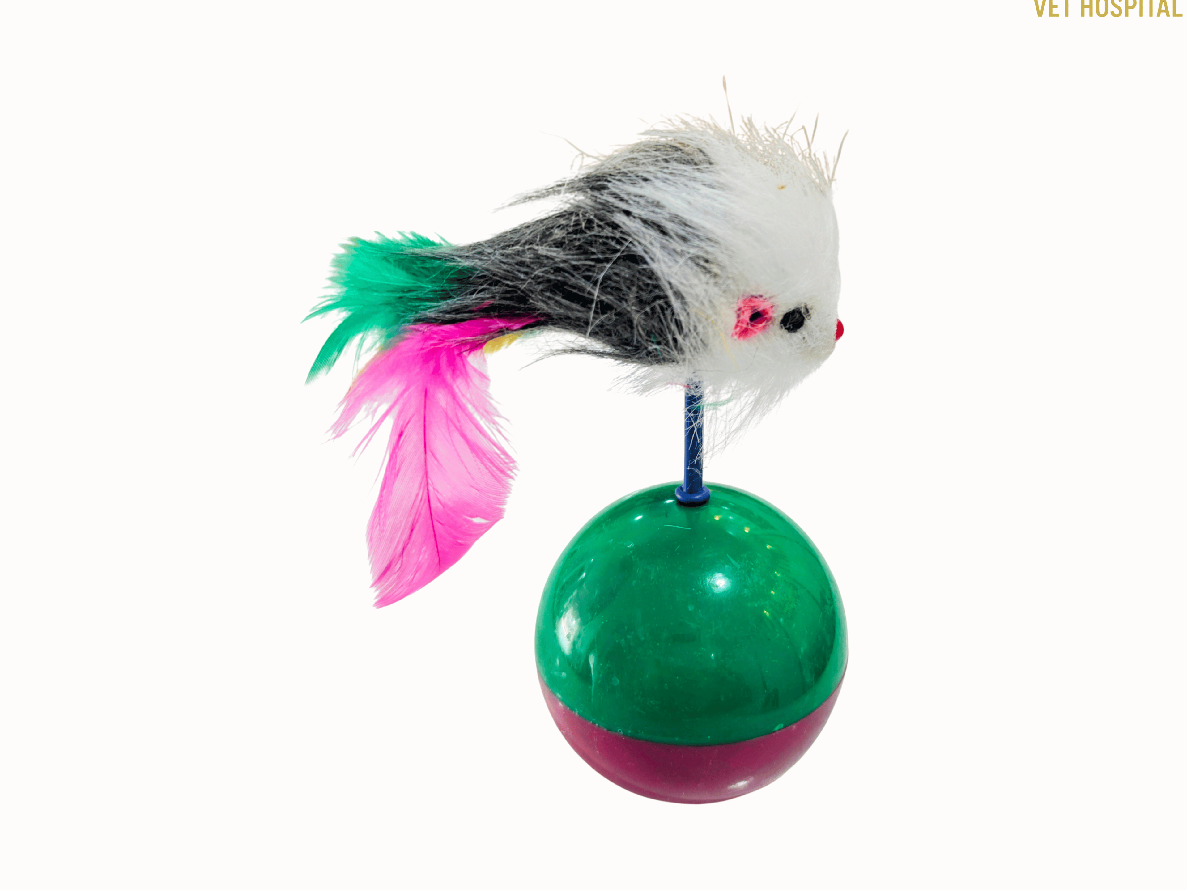 Cat Playing Ball With Mouse