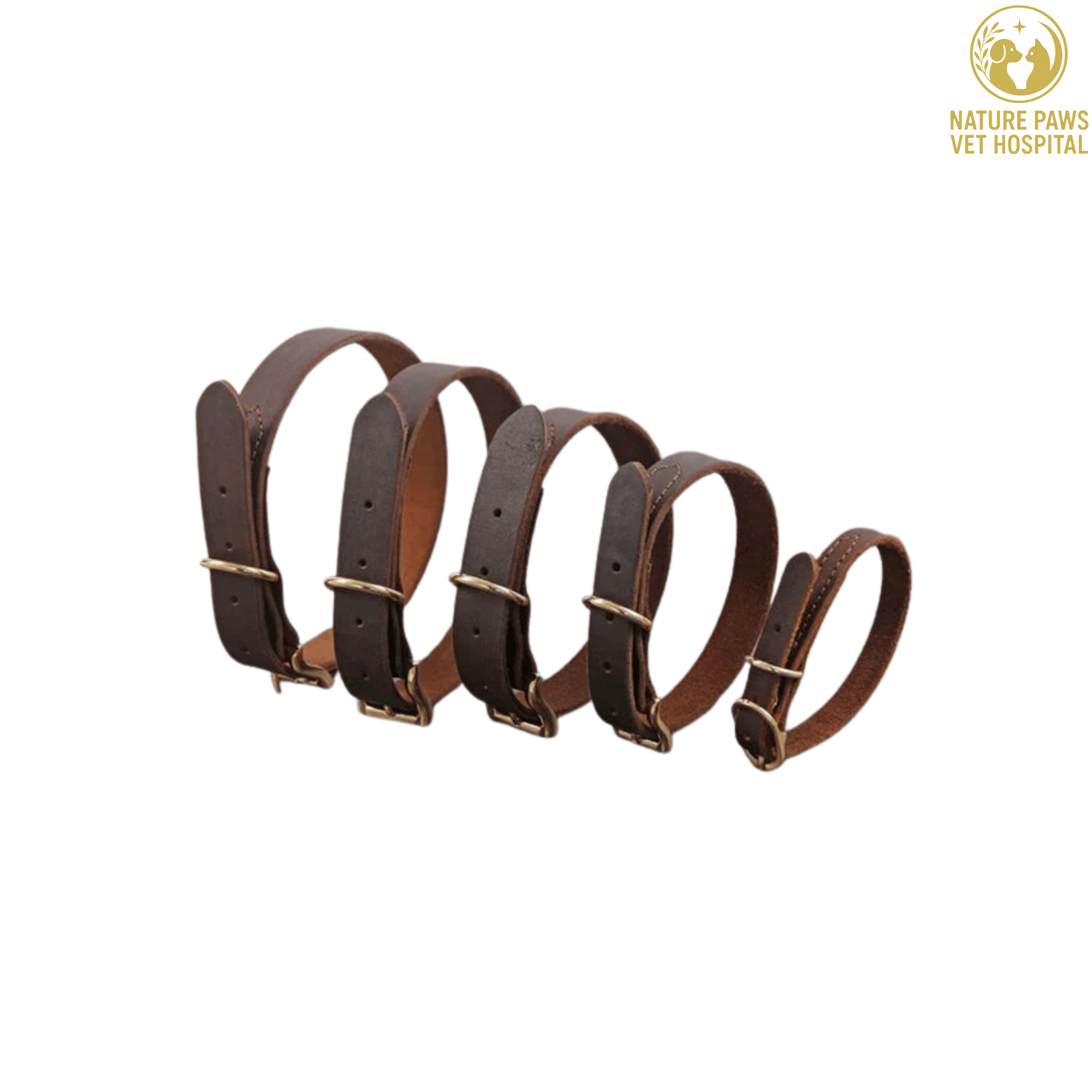 Dog Leather Collars  thumbnail 3