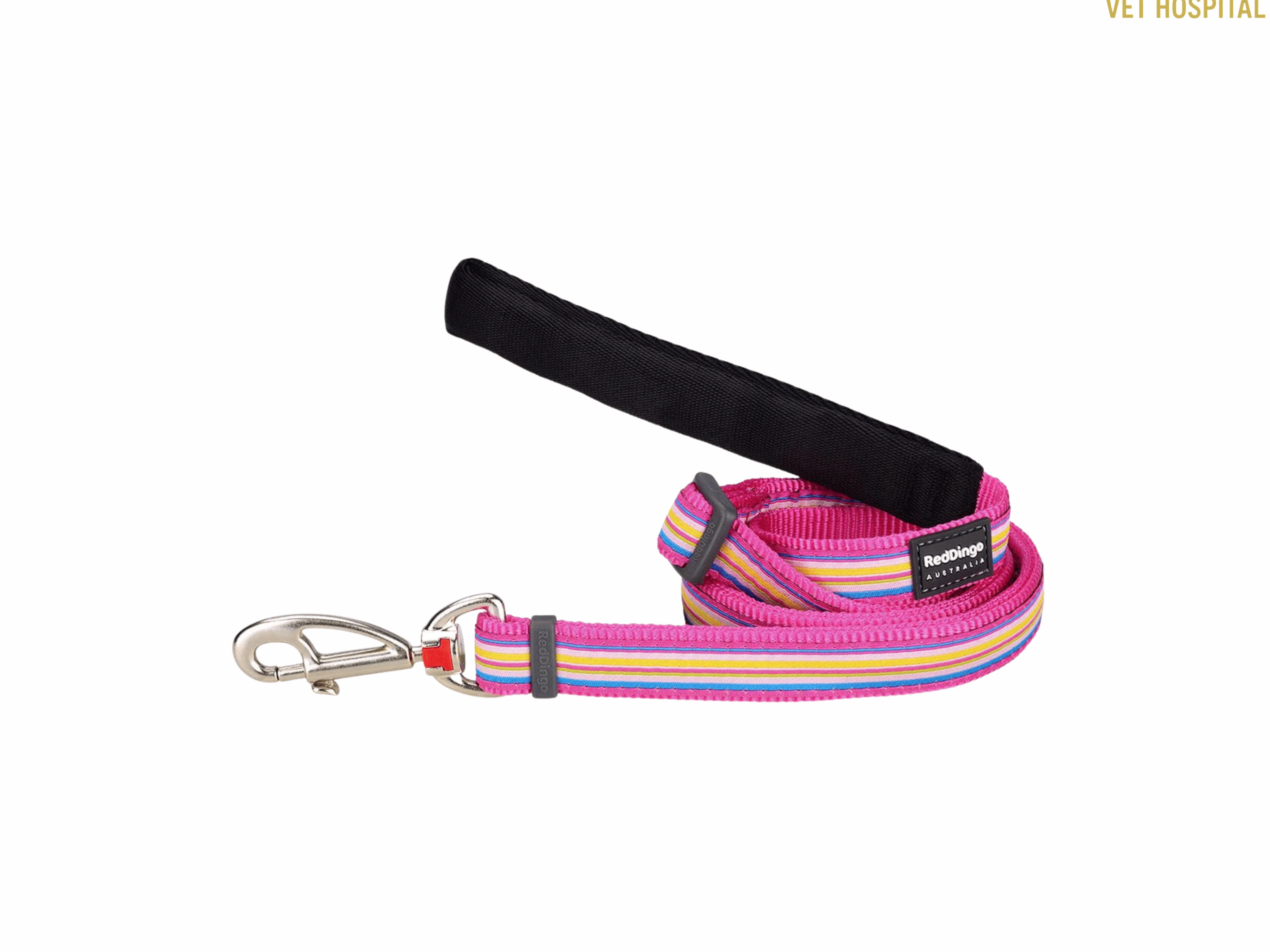 Colourful Leashes For Dogs