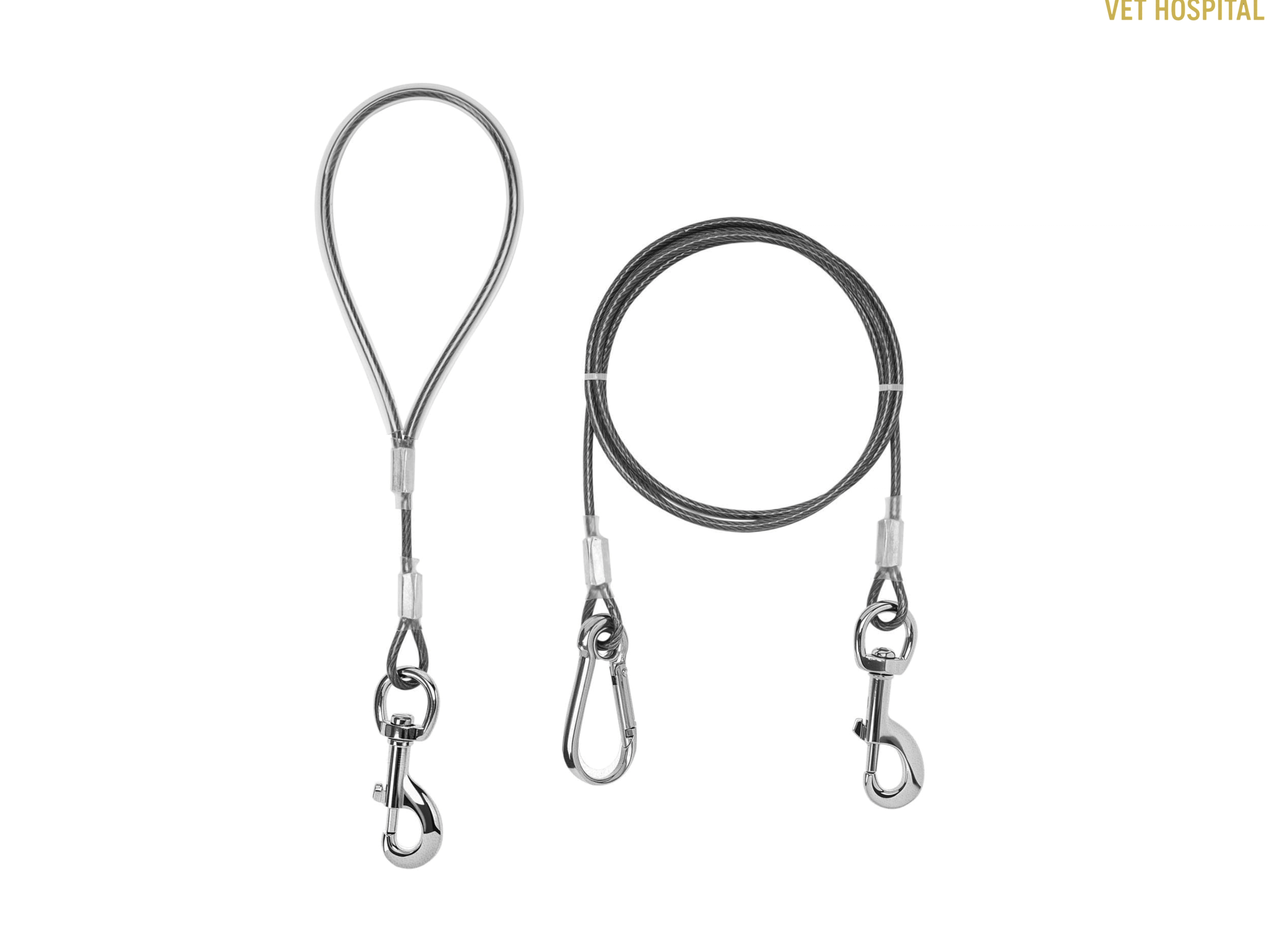 Dog Tie Out Cable Coated Leash