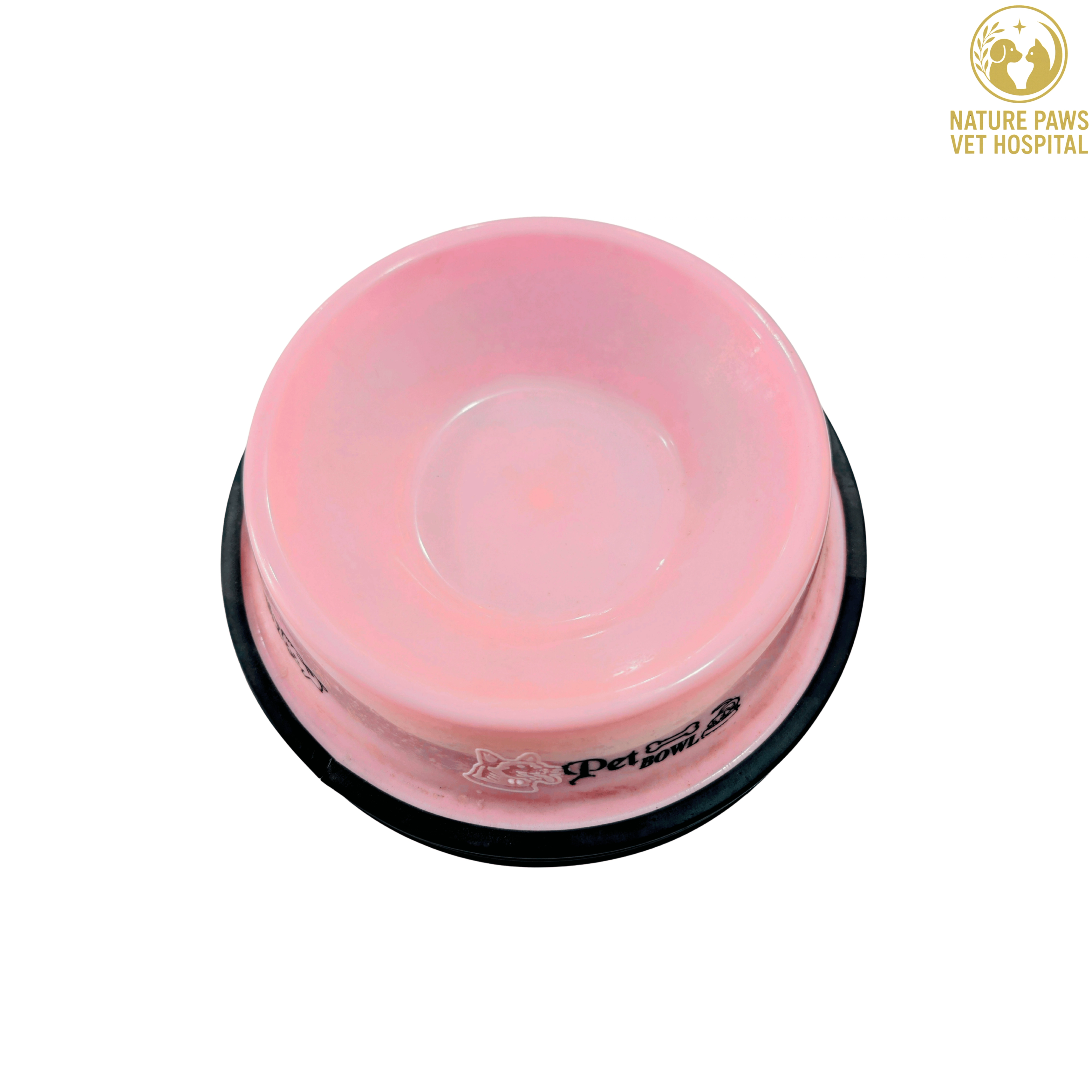 Pet Food Bowl (Assorted Colours) - Image 1