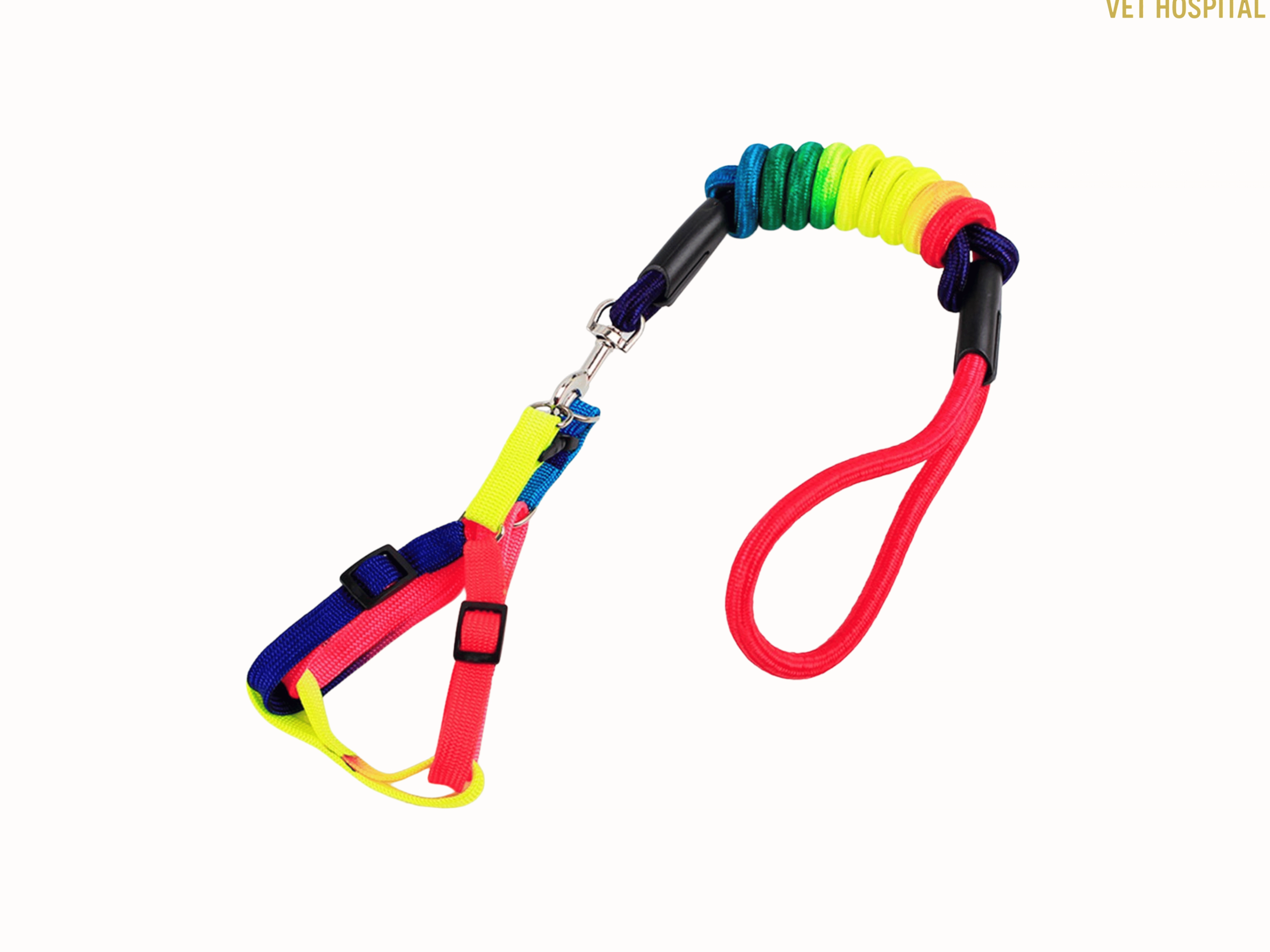 Adjustable Rainbow Leash For Pets
