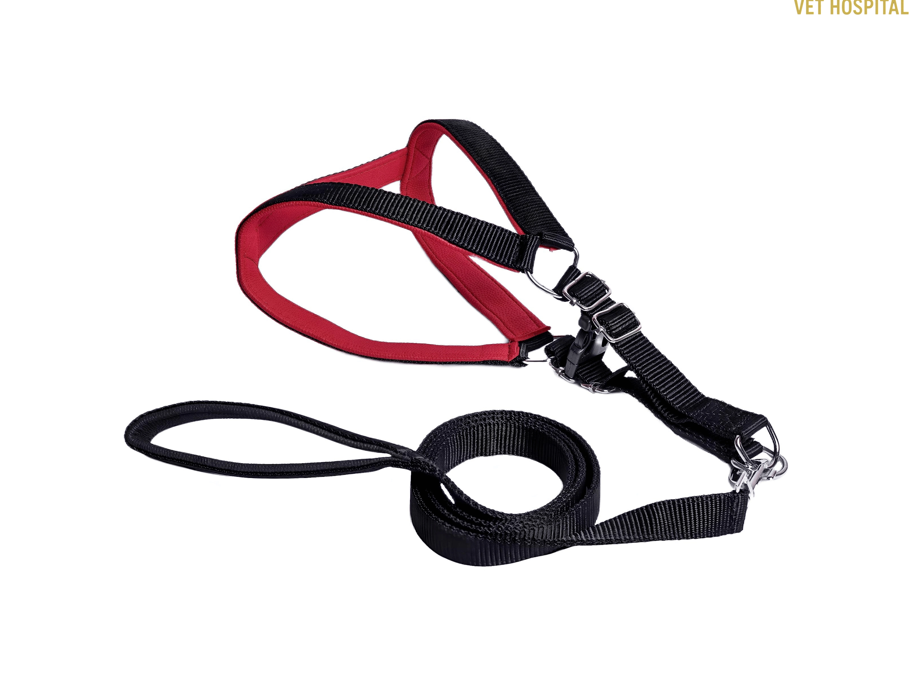 Dog Harness Vest Strap With Leash