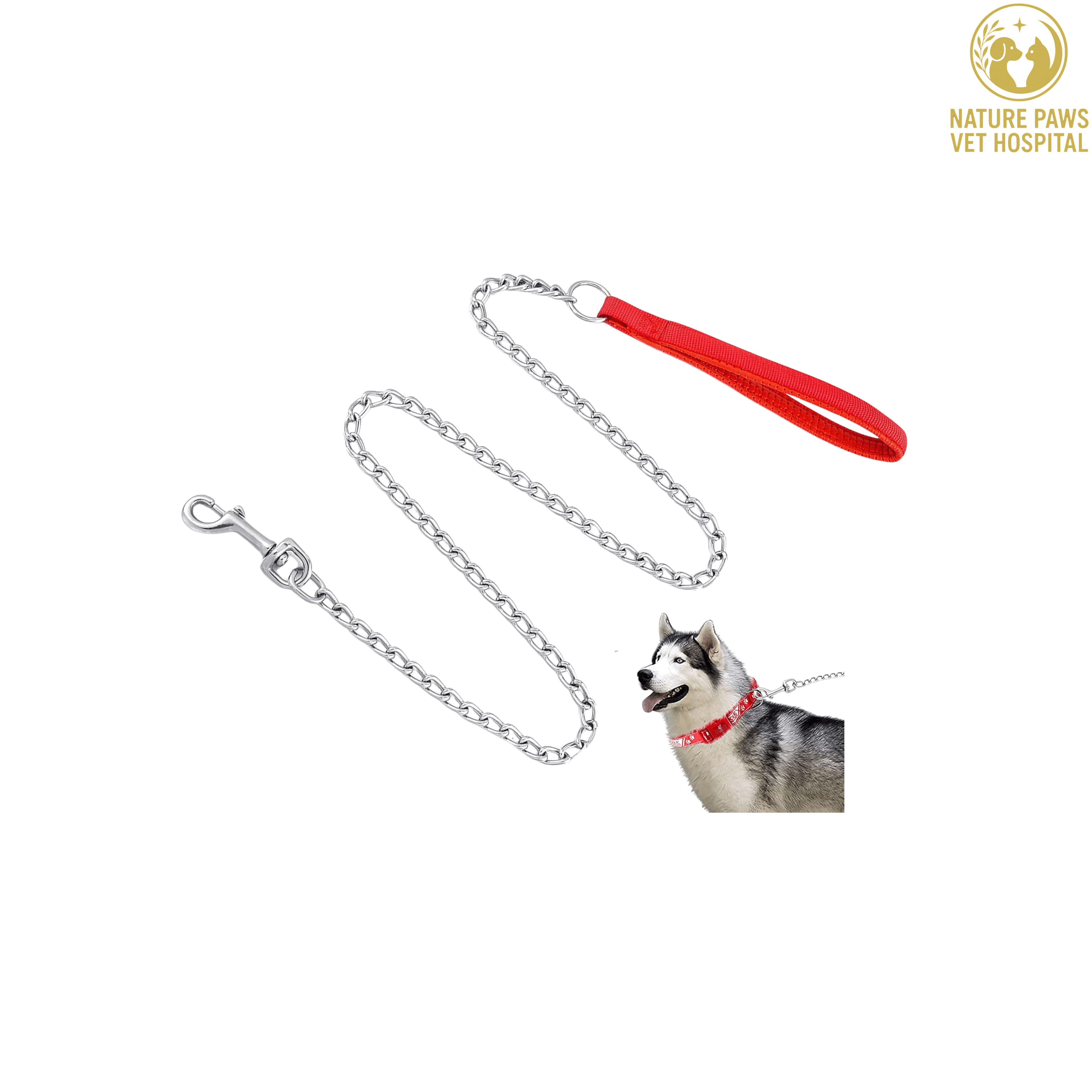 Dog Silver Chain  thumbnail 2