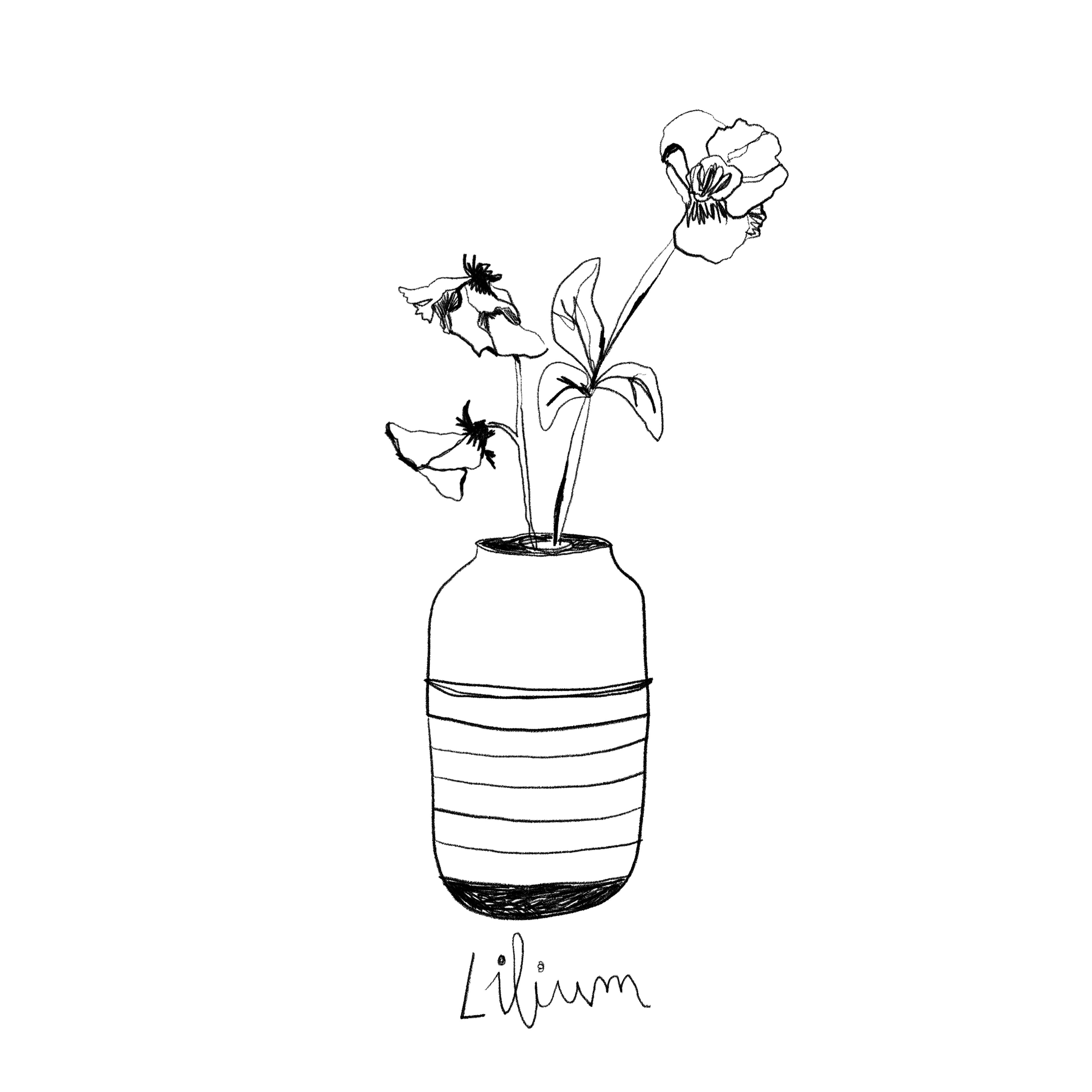 Wilted Beauty — Lilium