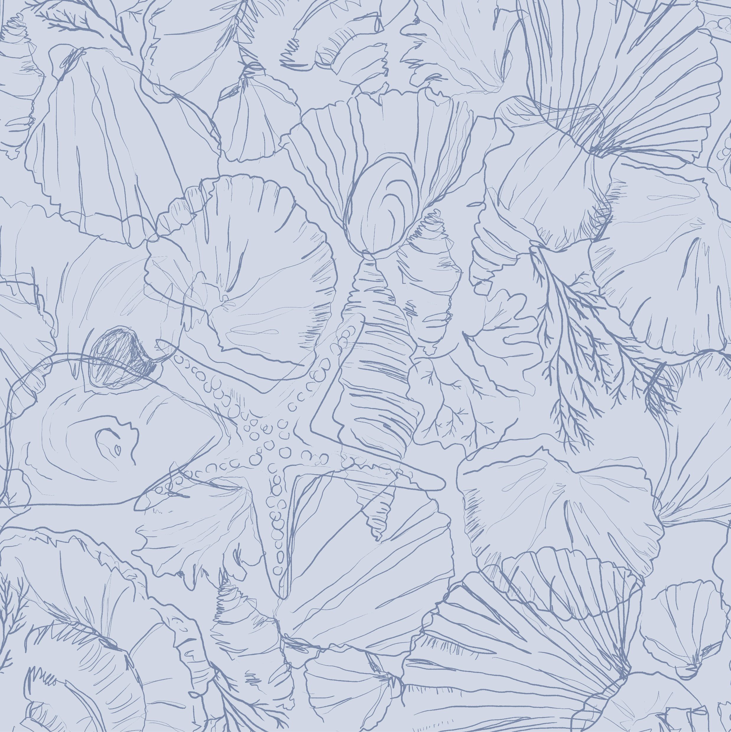 Seashells