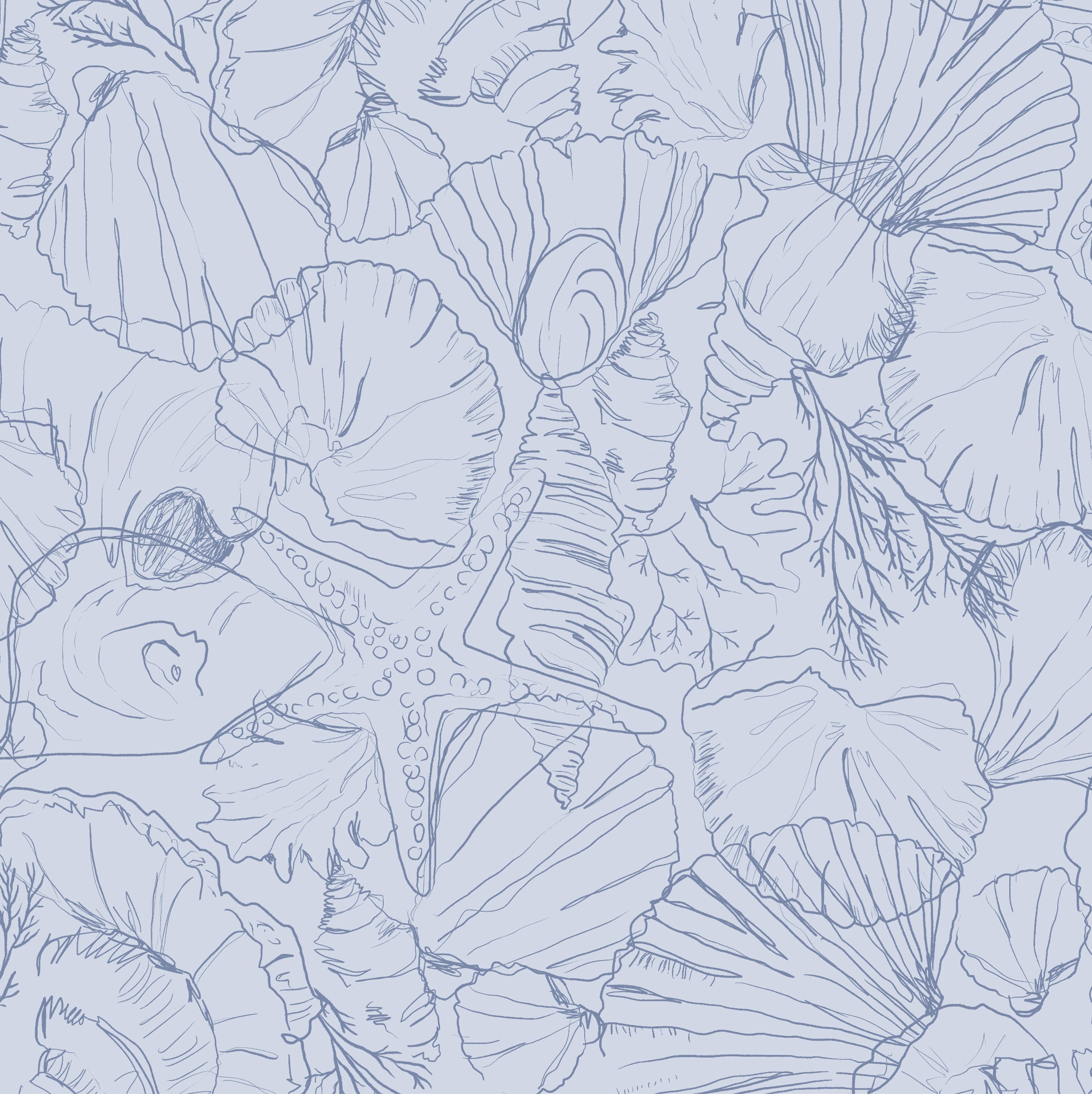 Seashells