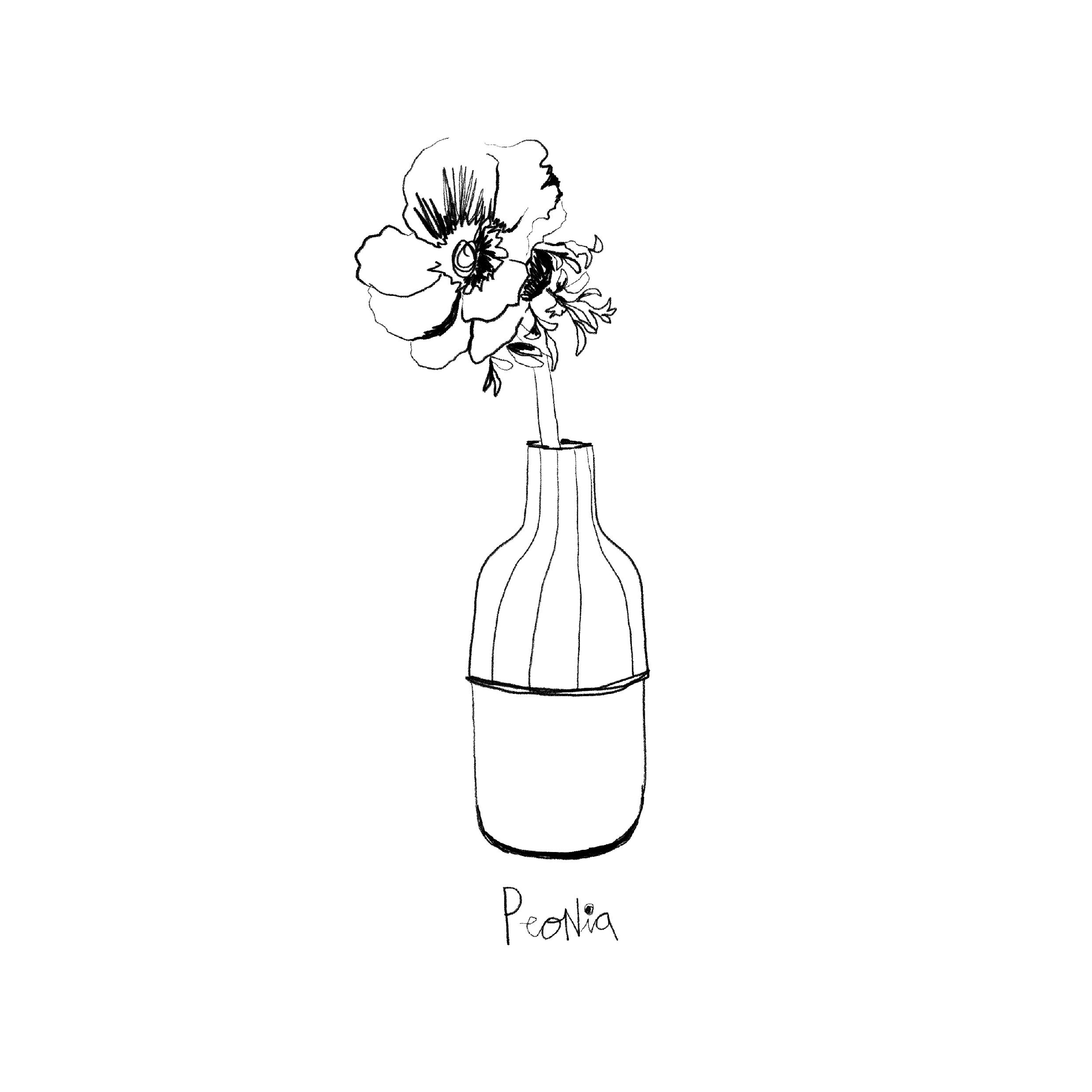 Wilted Beauty — Peonia
