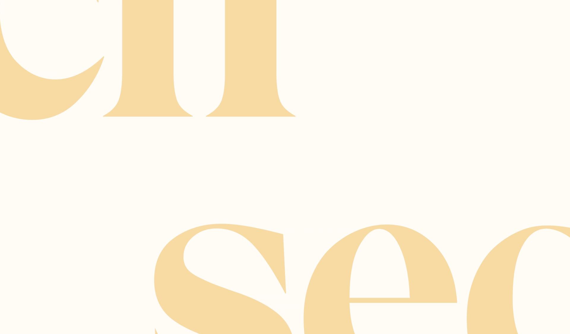 Abstract Secfi logo graphic