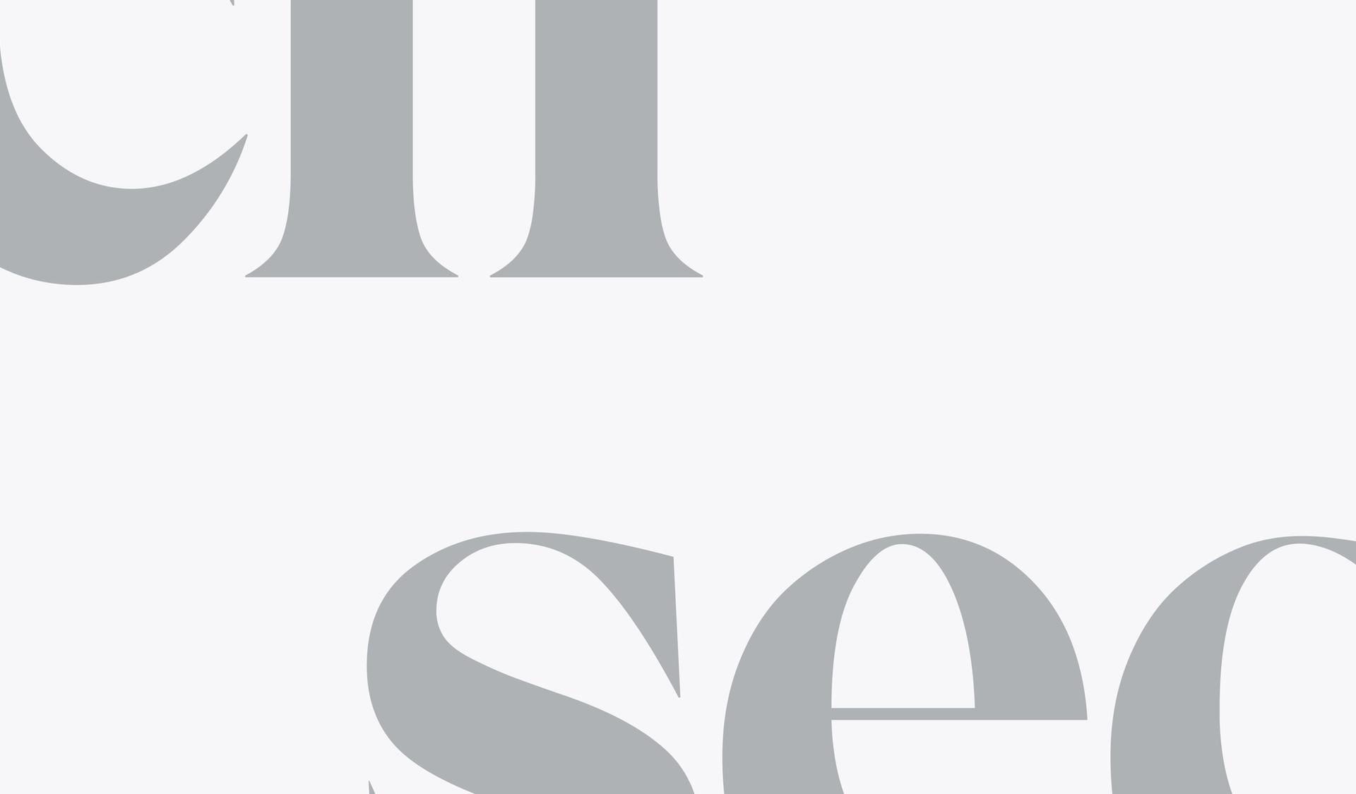 Abstract Secfi logo graphic