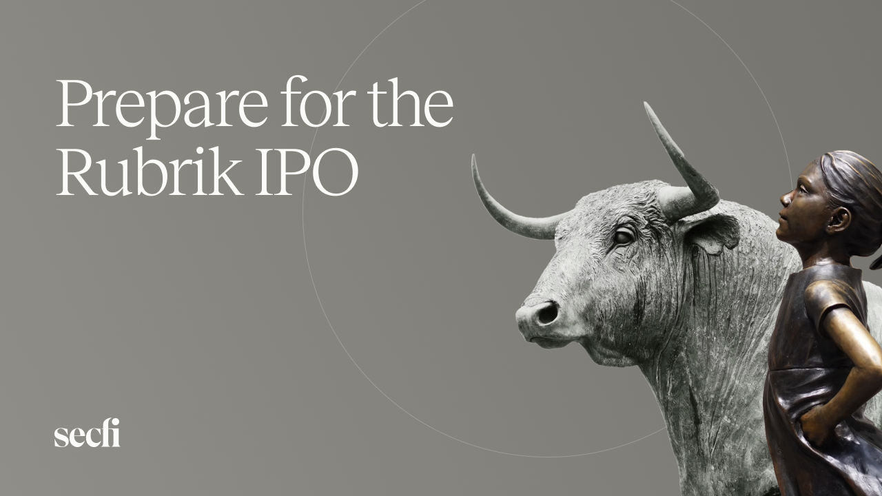 Prepare for the Rubrik IPO