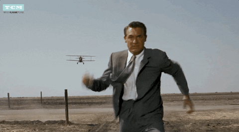 North by Northwest plane