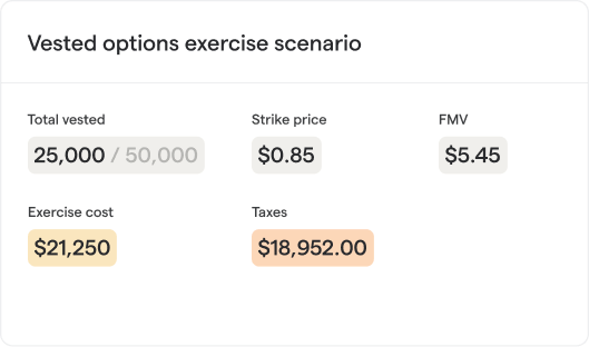 Vested options exercise scenario
