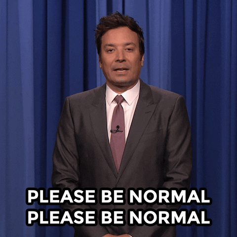 Jimmy Fallon saying please be normal