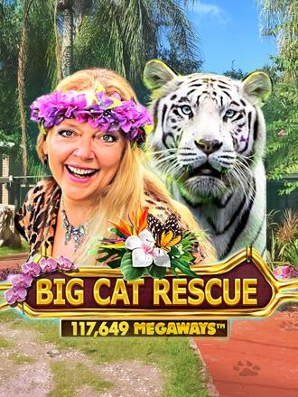 Big Cat Rescue Megaways