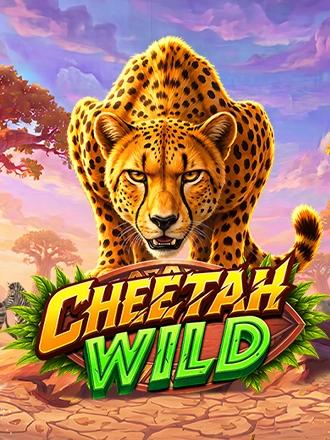 Cheetah Wild