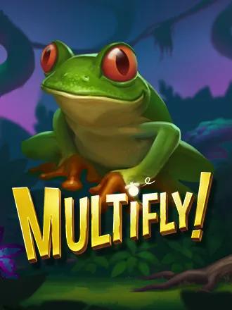 Multifly!