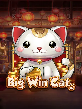 Big Win Cat