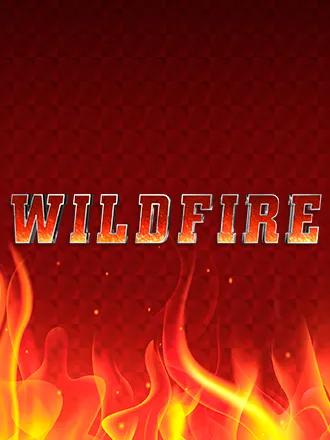 Wildfire