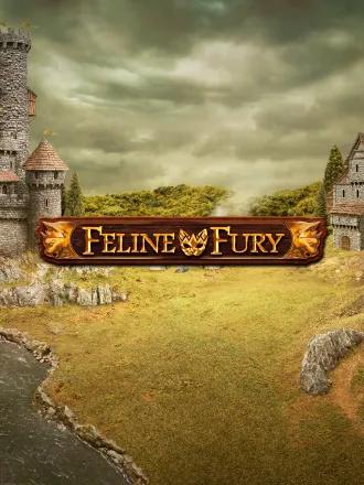 Feline Fury