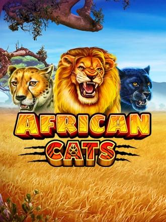 African Cats