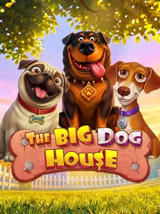 The Big Dog House