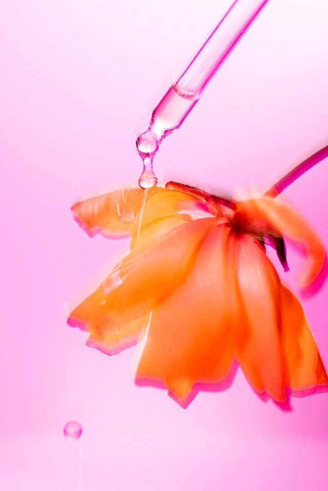 Strength of Creative Freedom