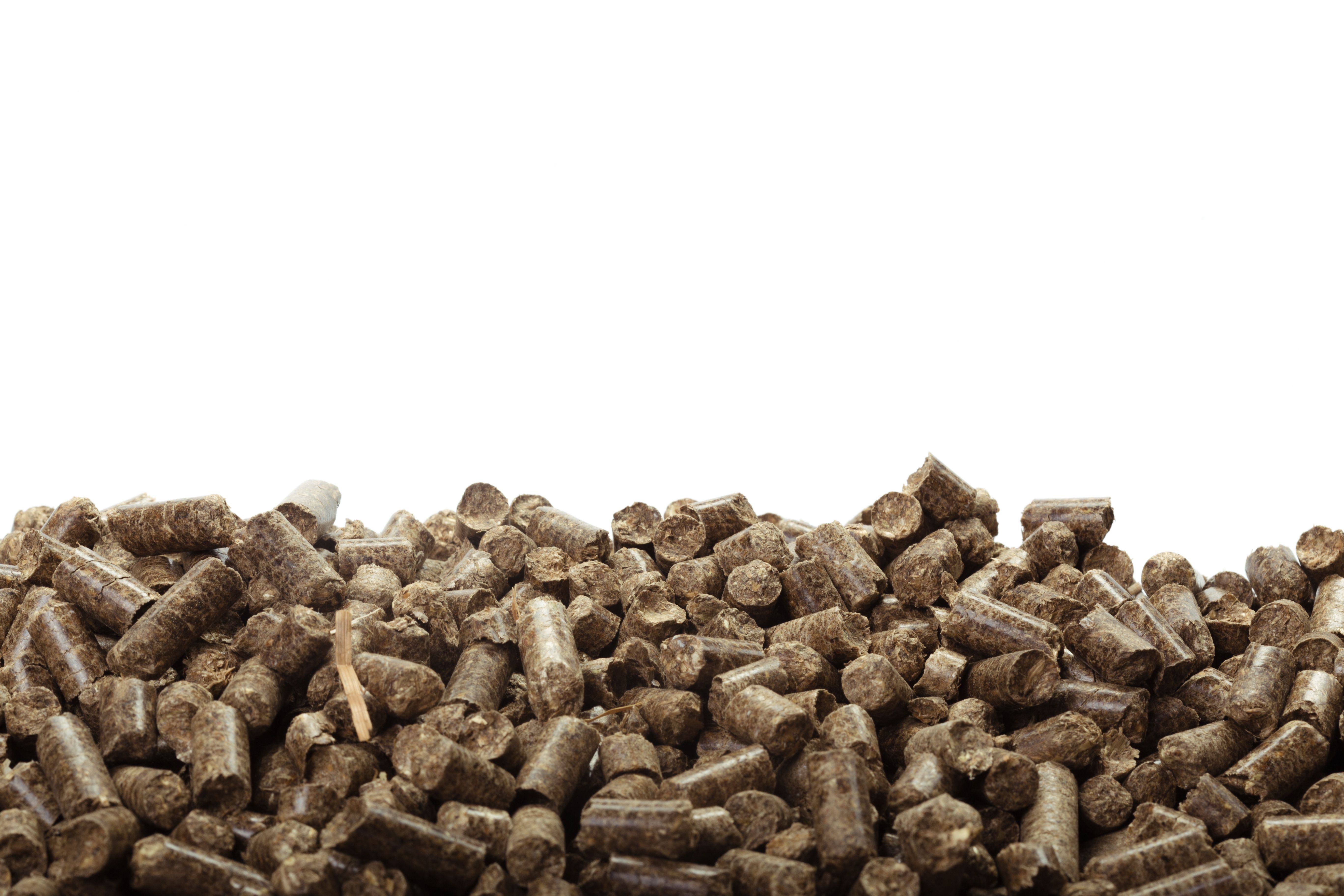 CO₂-neutrale Wärme aus Holz