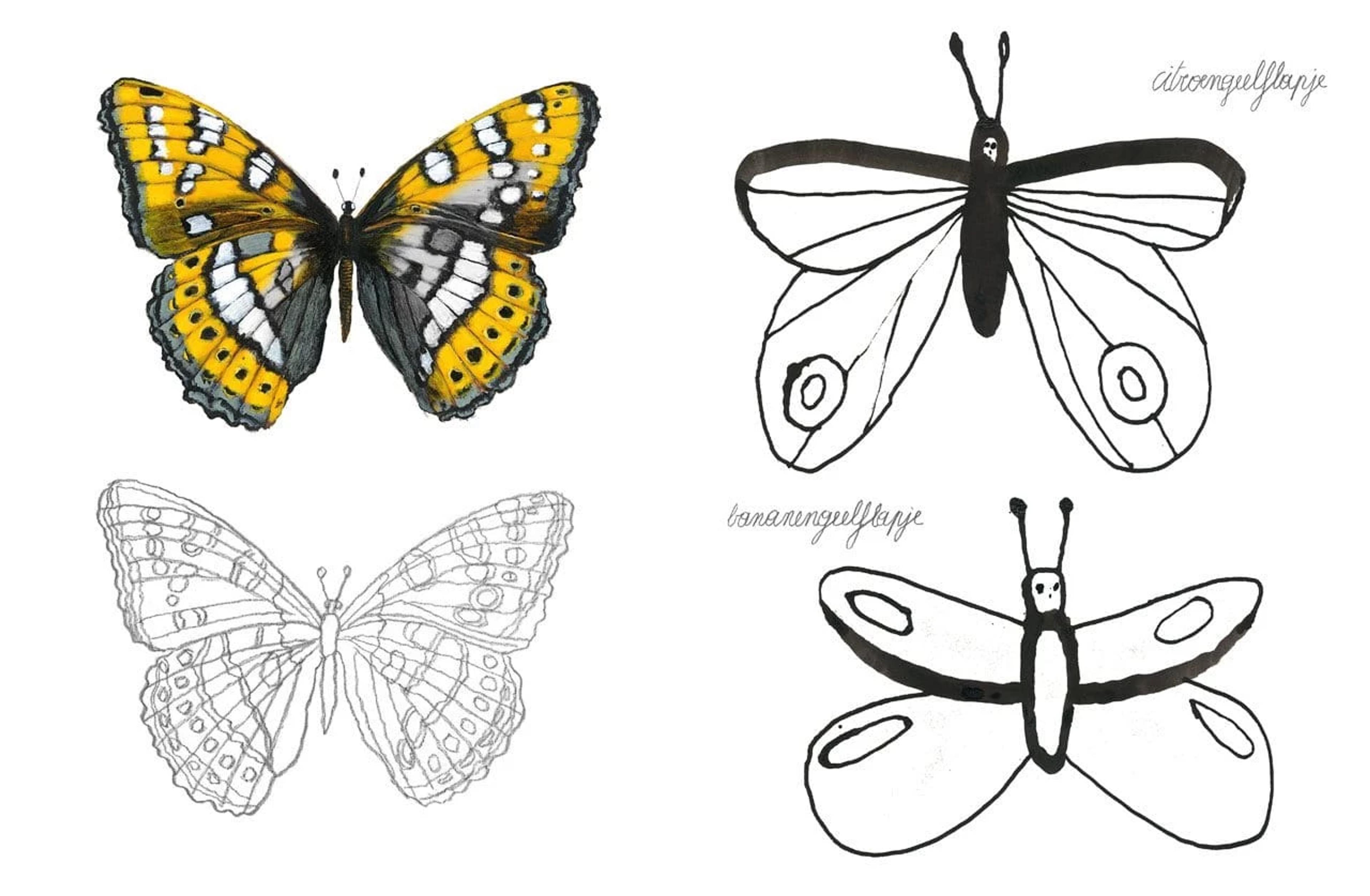 Image for Drawing, doodling and colouring BUTTERFLIES with Carll Cneut