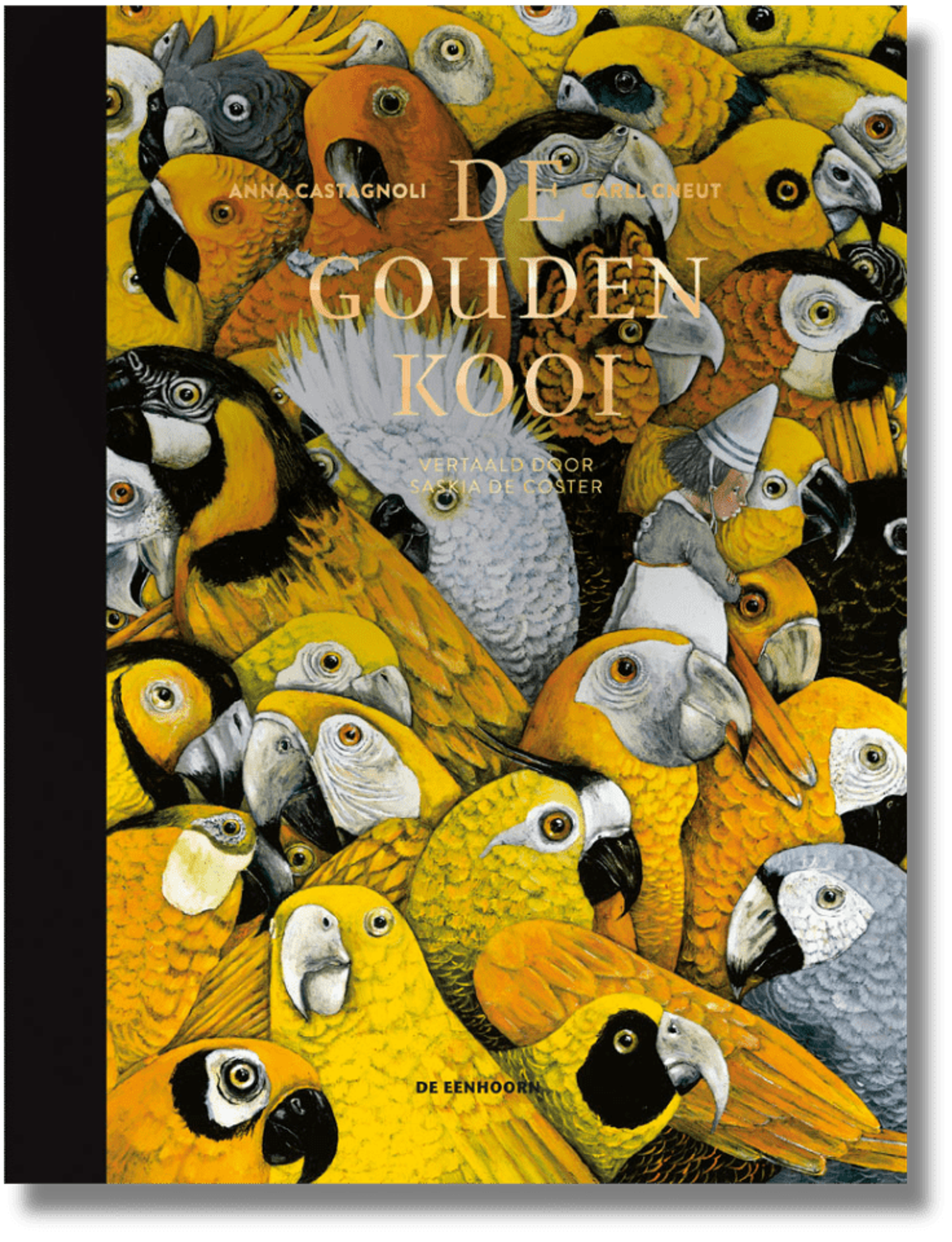 Cover for The golden cage