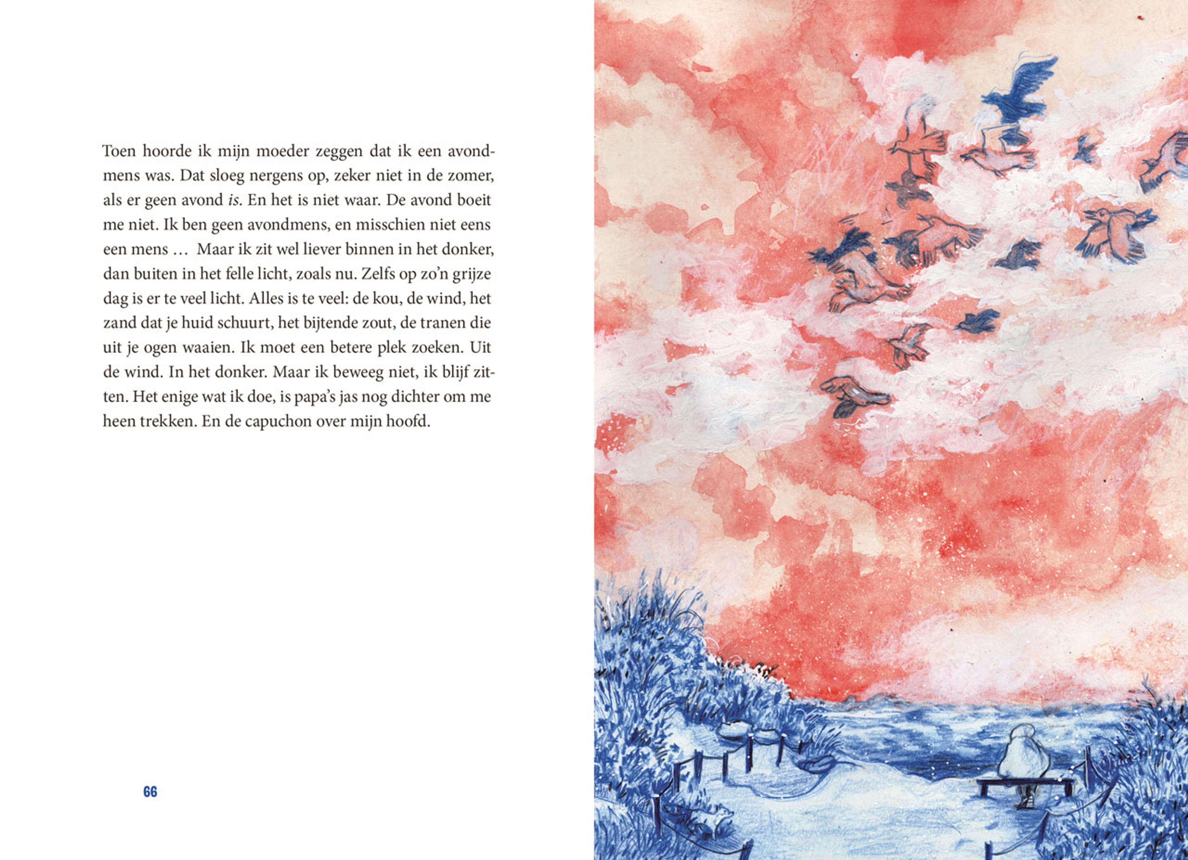 Image for The boy who disappeared into a game