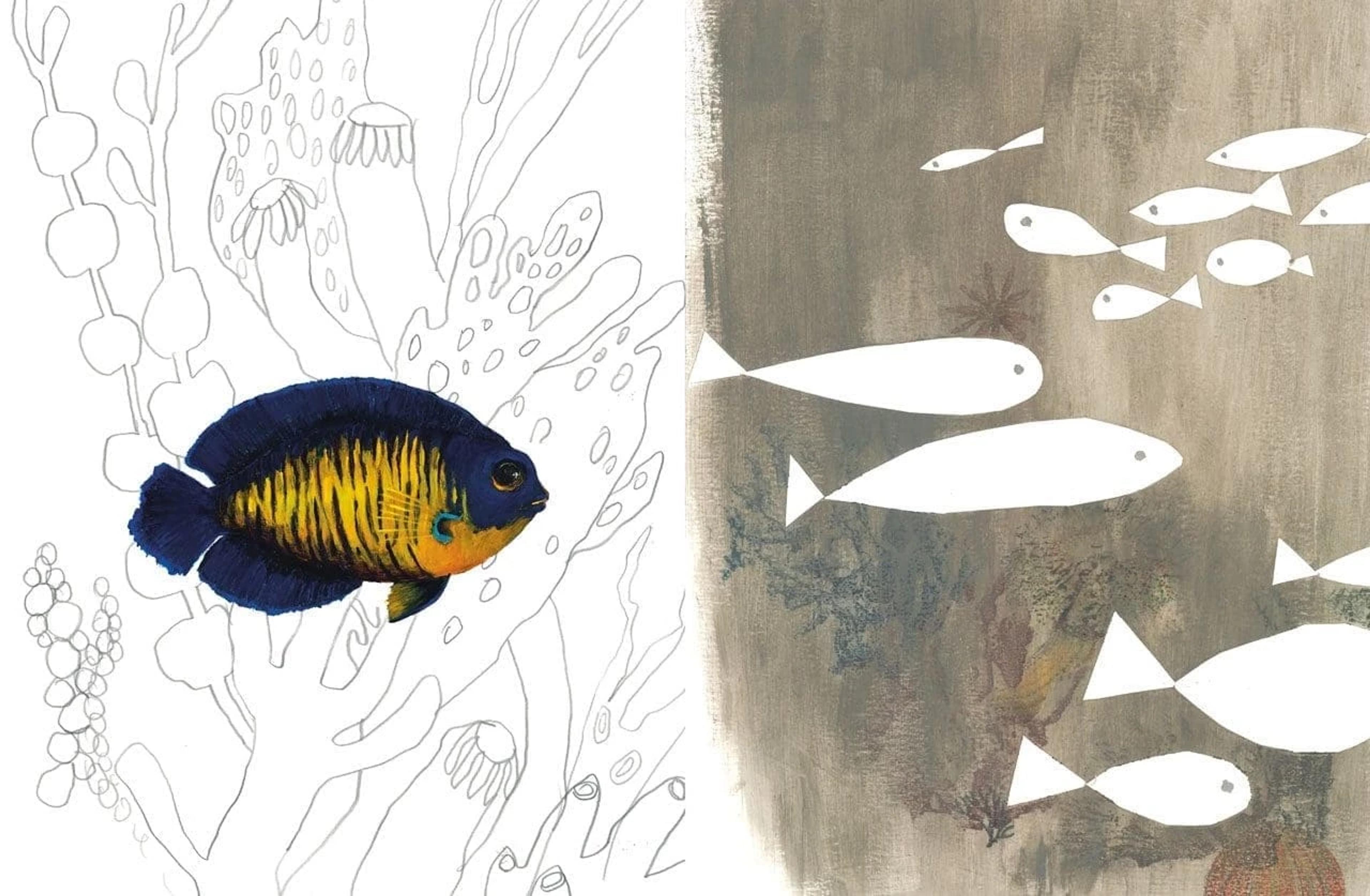 Image for Drawing, doodling and colouring UNDERWATER with Carll Cneut