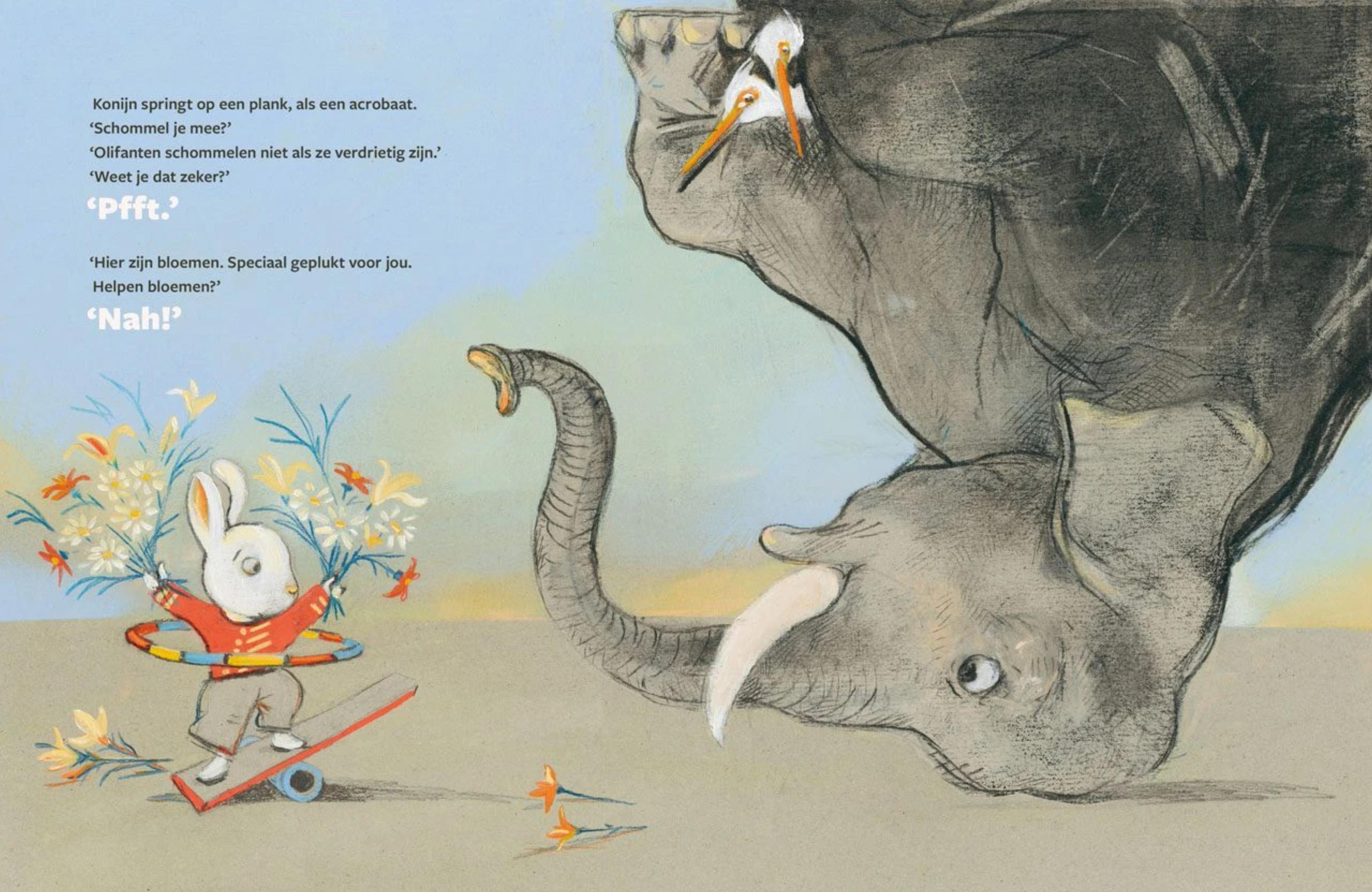 Image for Elephant upside down