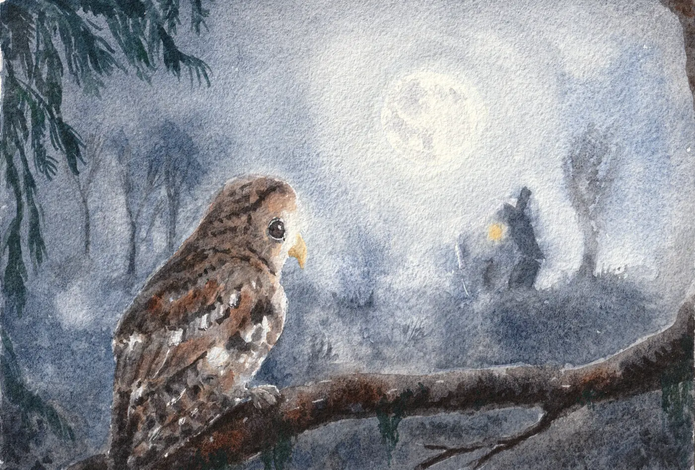 Night Owl
