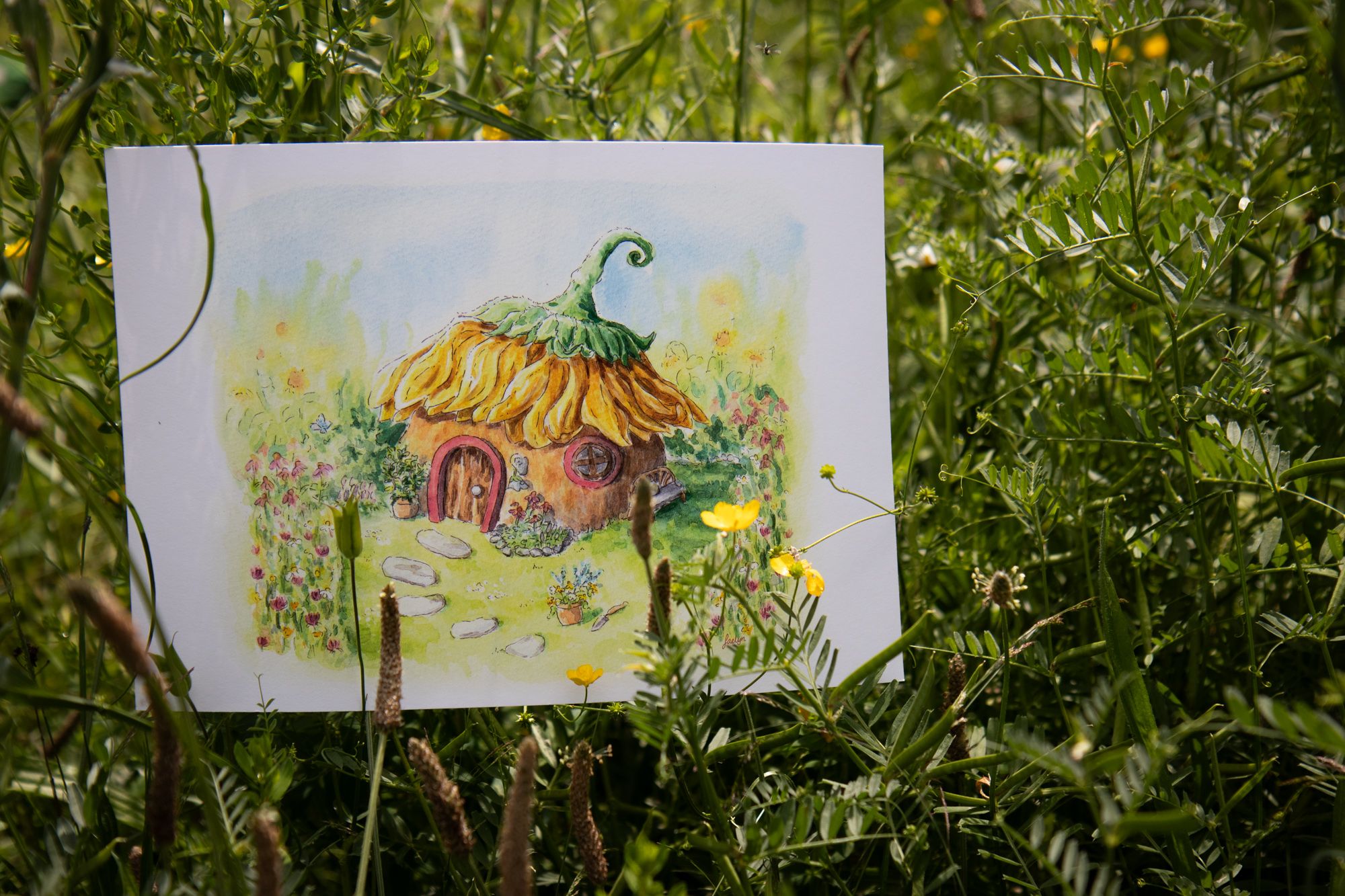 Where fairies live: the story of my fairy house paintings