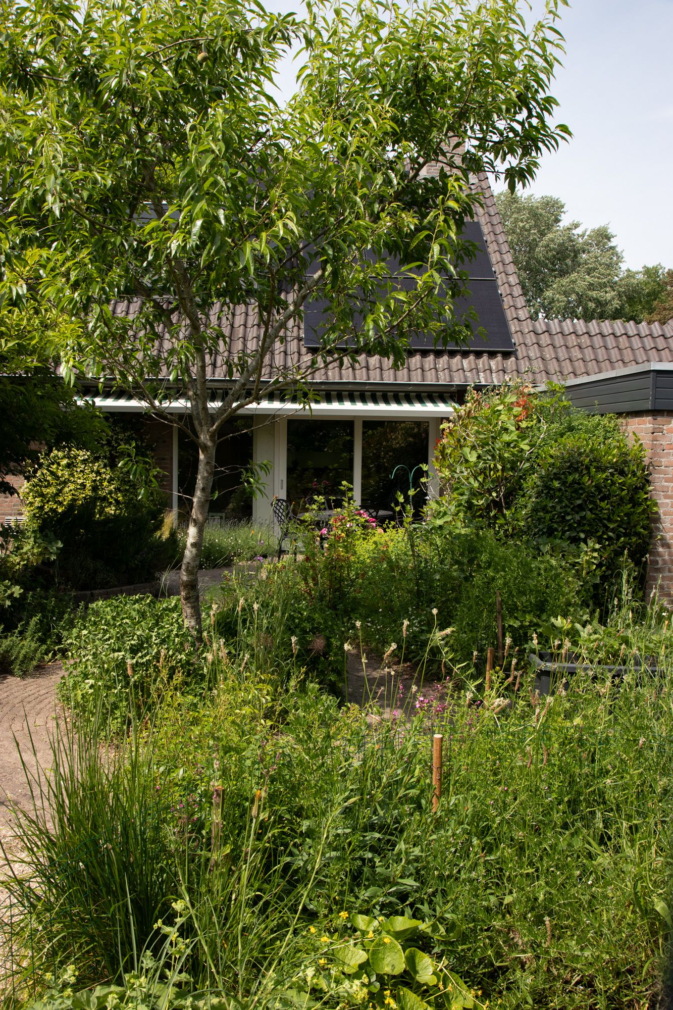 Inspiration from my late spring cottage garden
